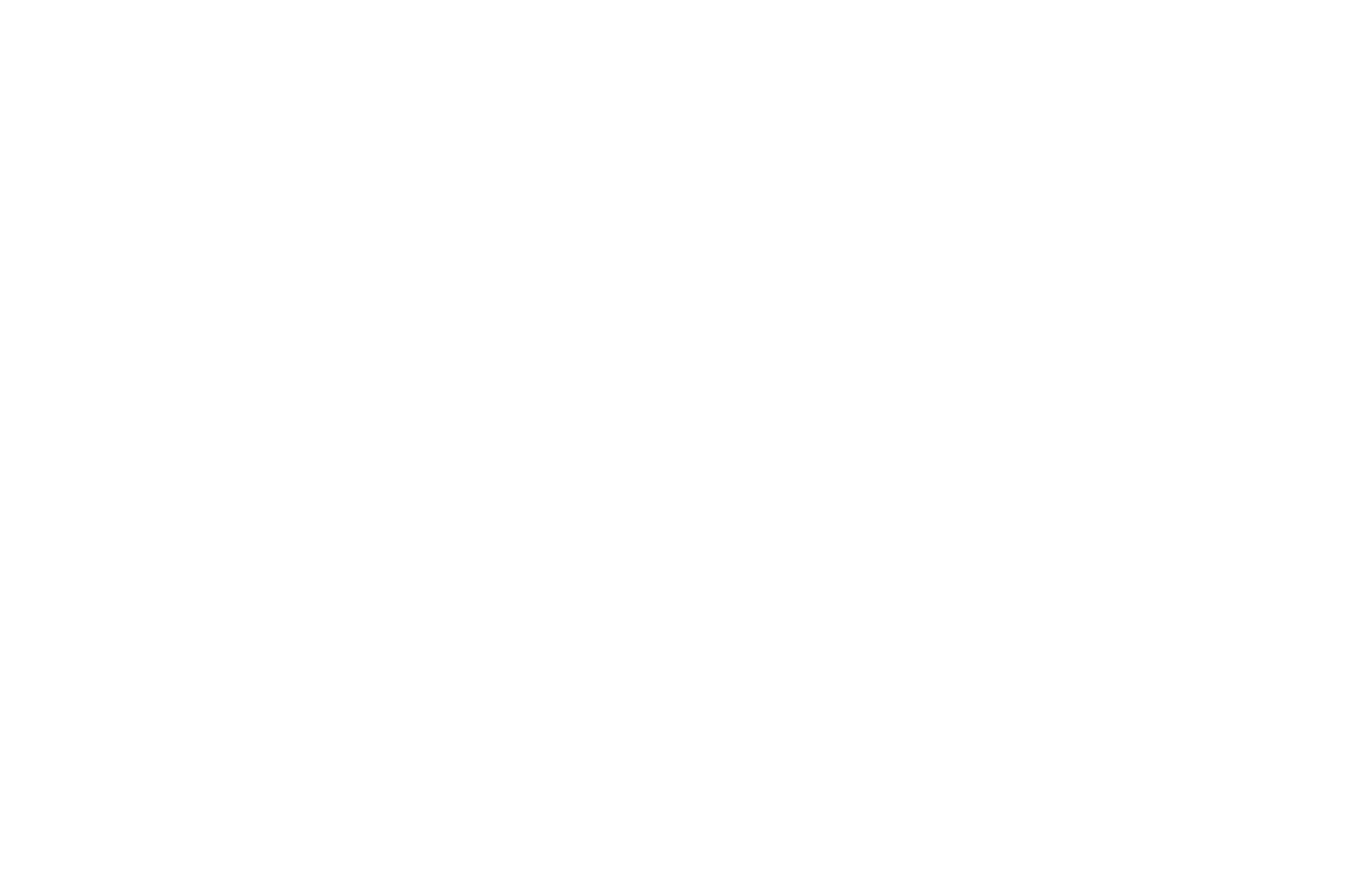 Black background with white laurel wreath and text reading 'Dubai International Film Festival'.