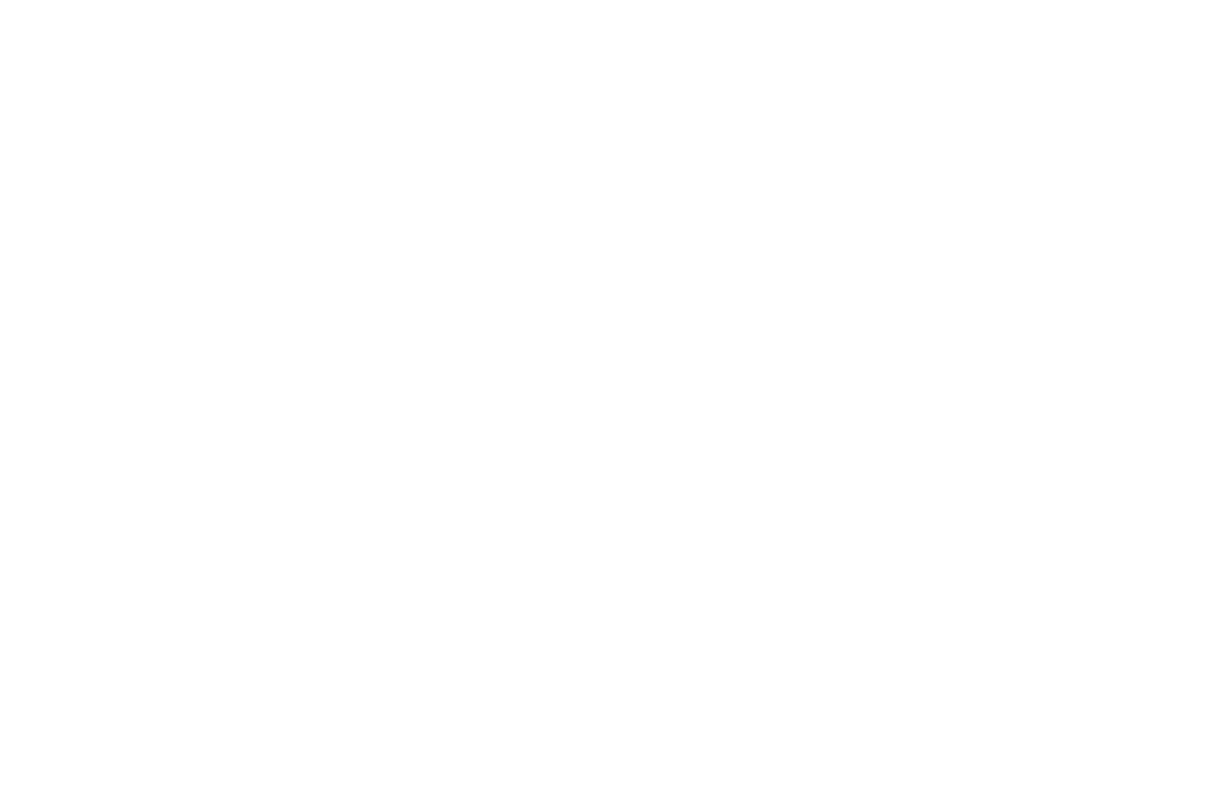 Paris International Film Festival award laurel with white text on black background