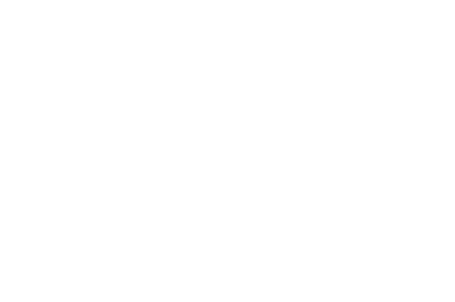 Black background with white text reading "Amsterdam Film Festival" encircled by a laurel wreath.