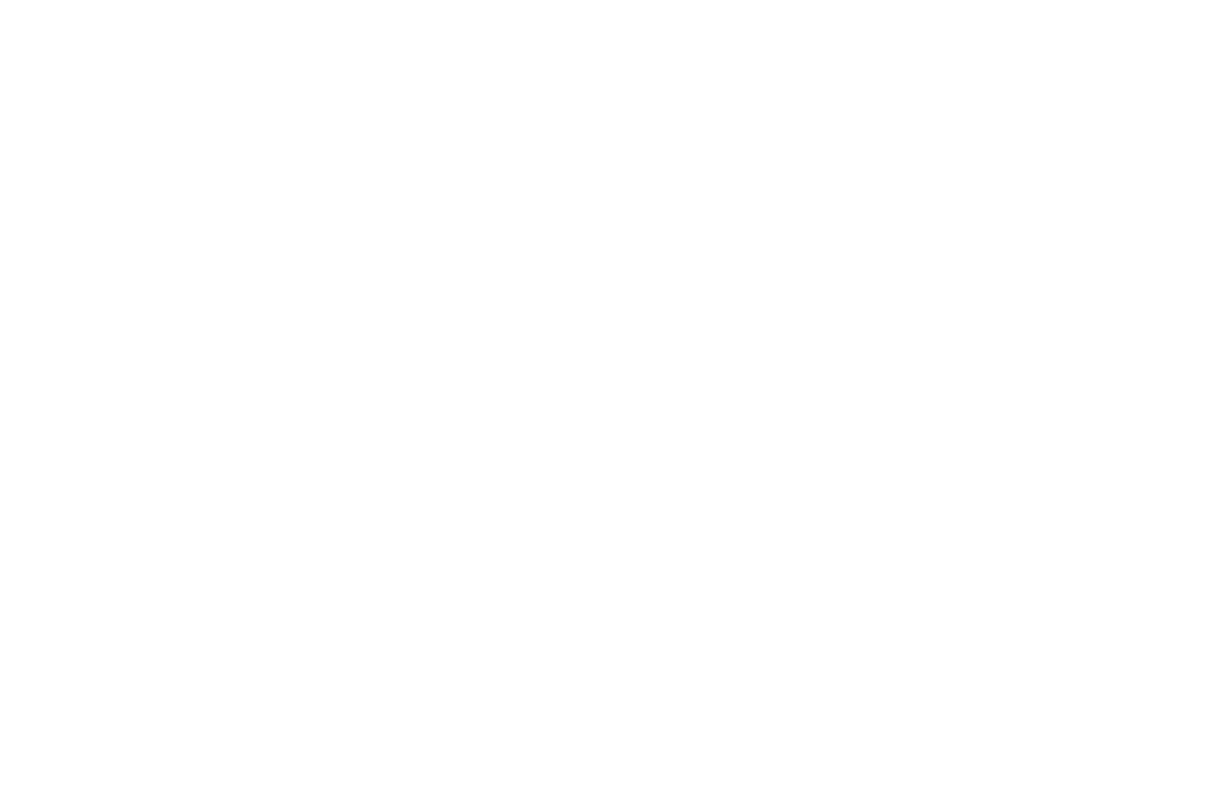 Text reading 'New Renaissance Film Festival' surrounded by a laurel-like decorative border.
