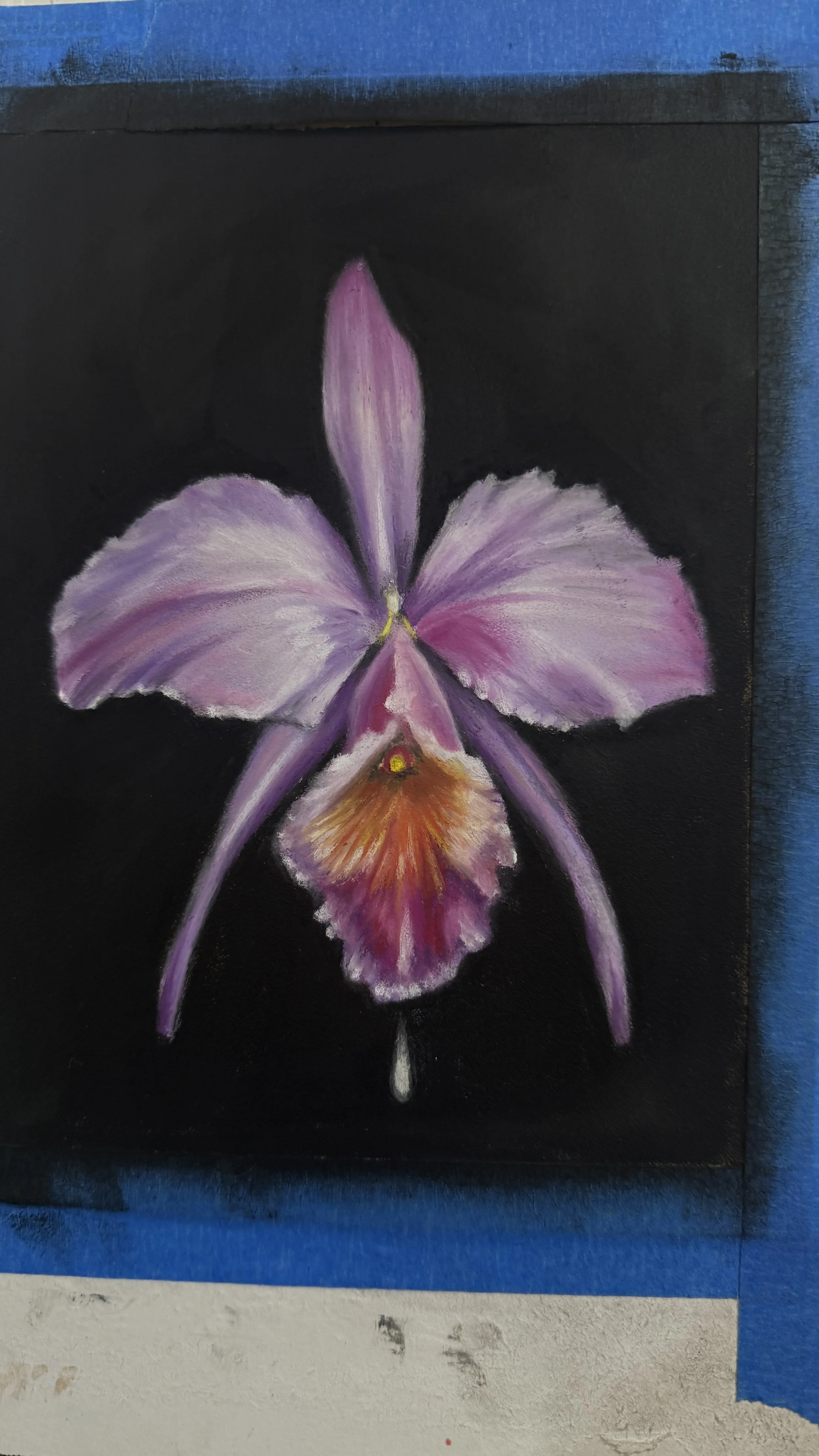 Orquidea 2