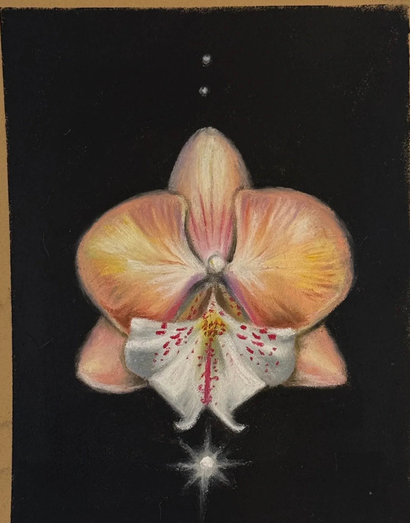 Orquidea 3