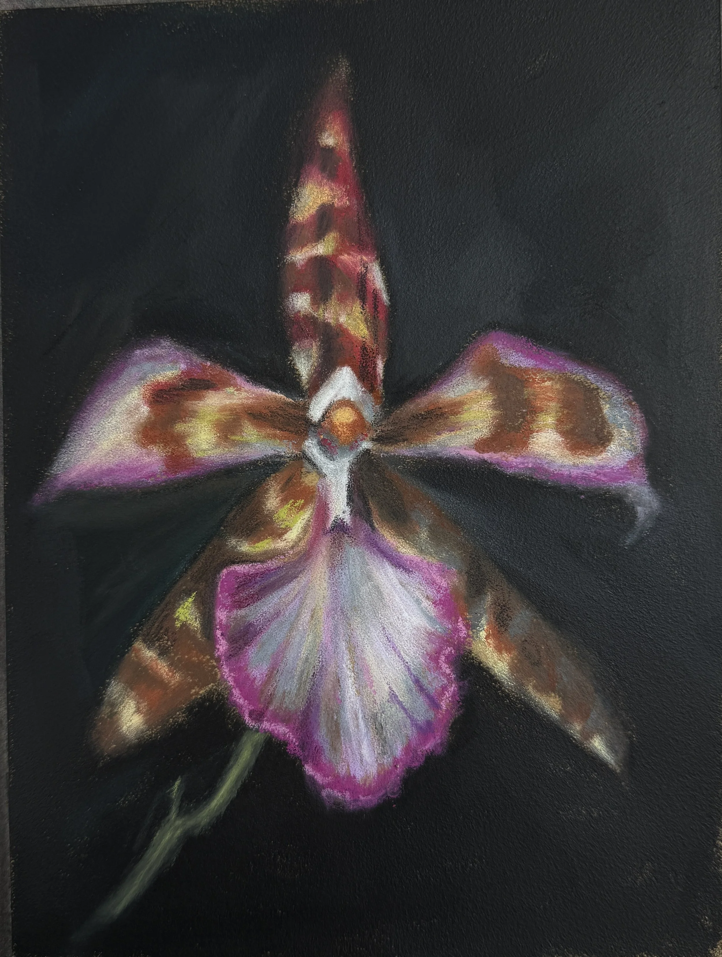 Orquídea 1 -Original