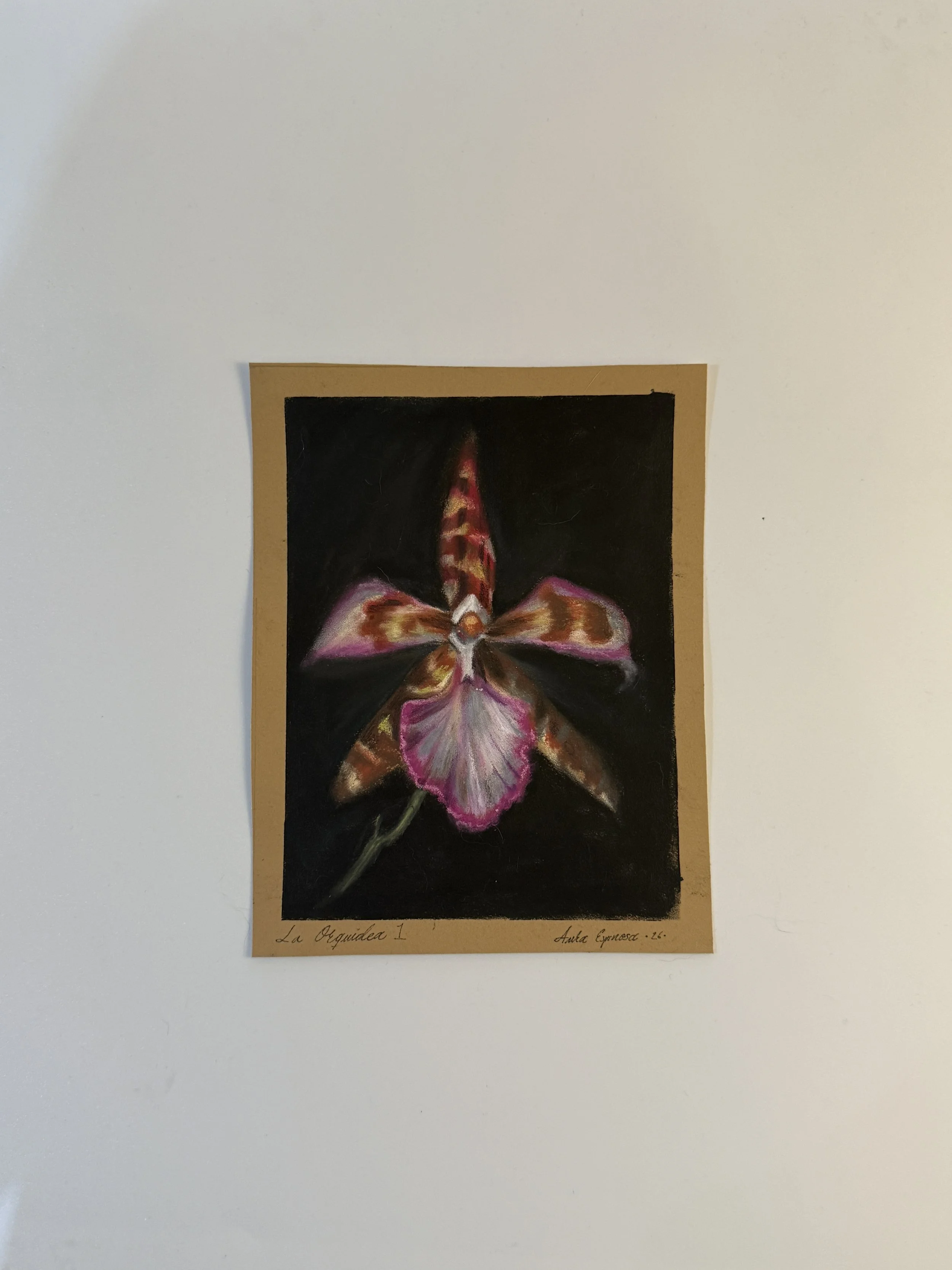 IMG_8485.jpeg