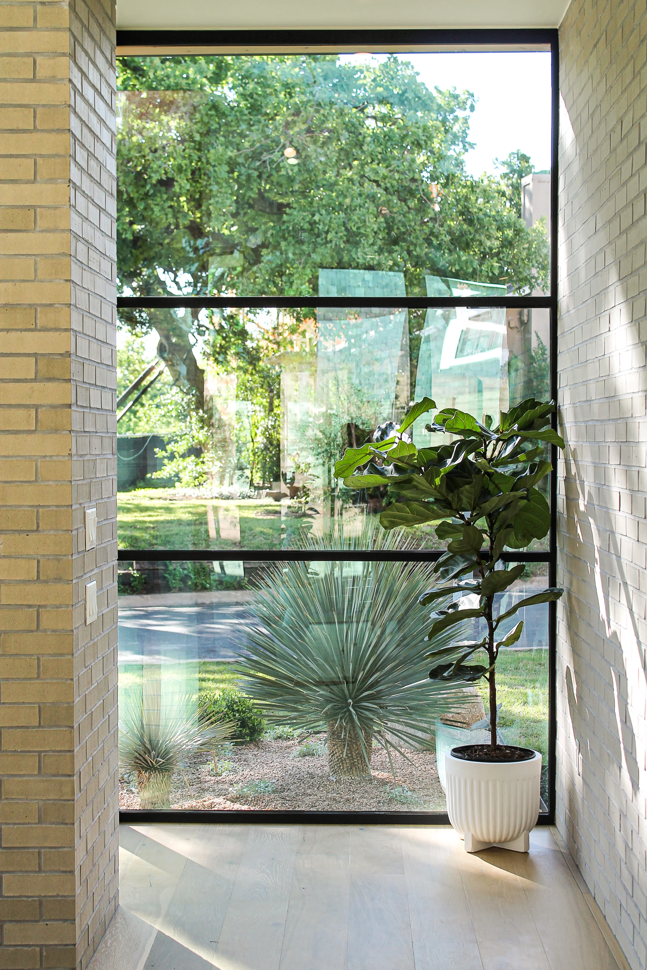 Doorway with large glass window, showing a garden with green trees and plants outside, and a potted plant with broad green leaves inside.