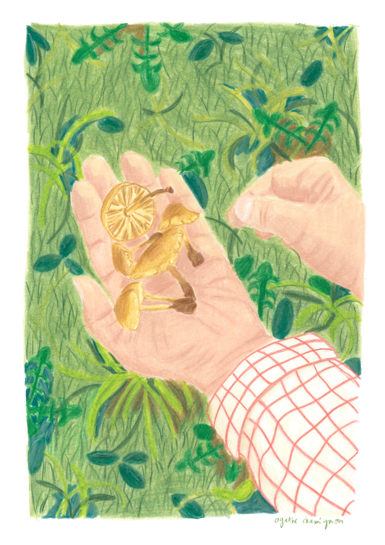 Capture d’écran 2025-11-24 à 19.49.22.png