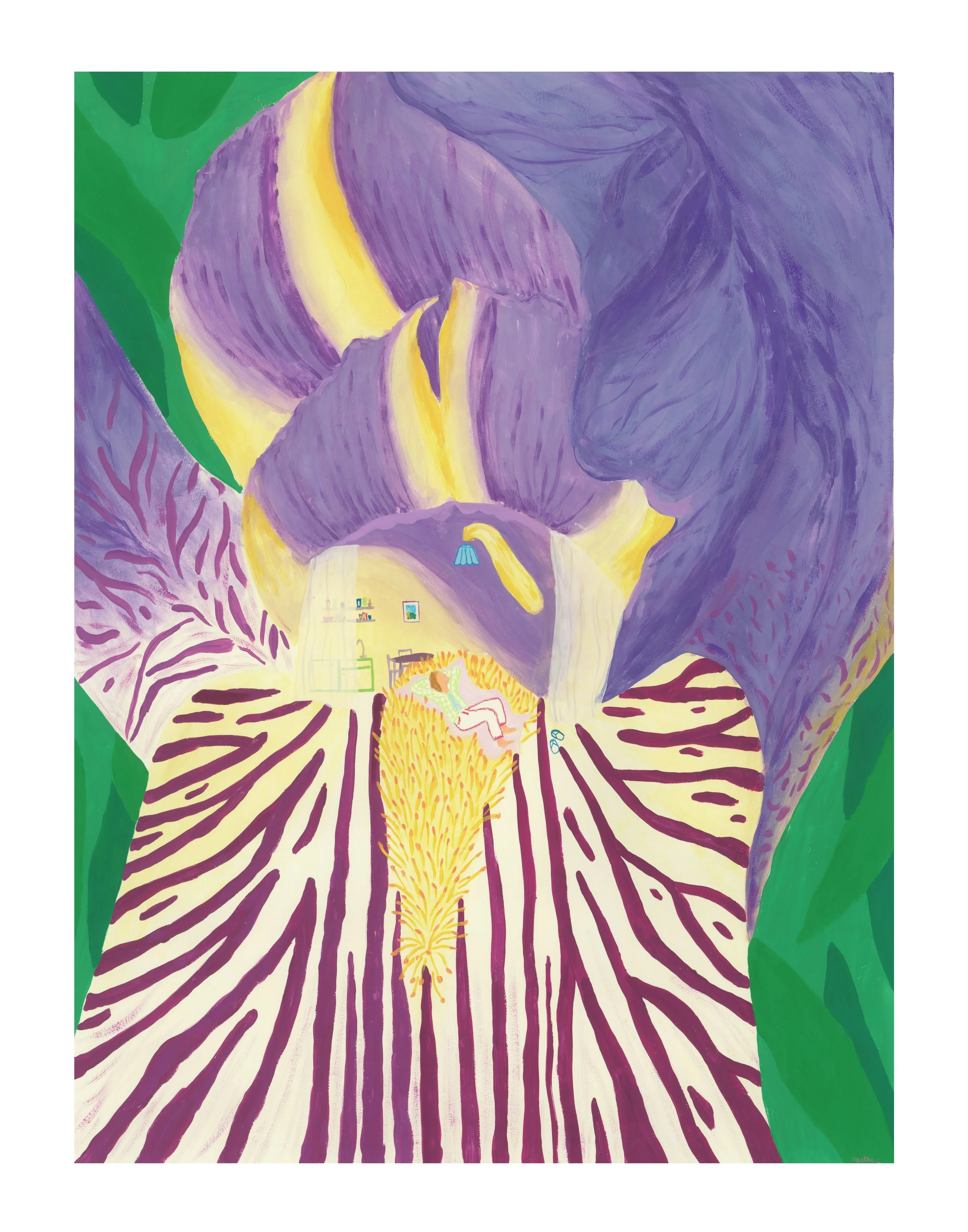 La maison iris  (acrylique, 60x80cm)