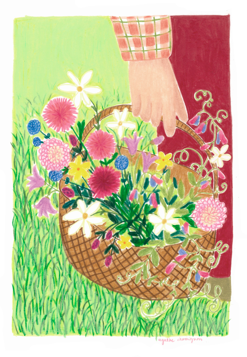 Capture d’écran 2025-11-24 à 19.56.41.png