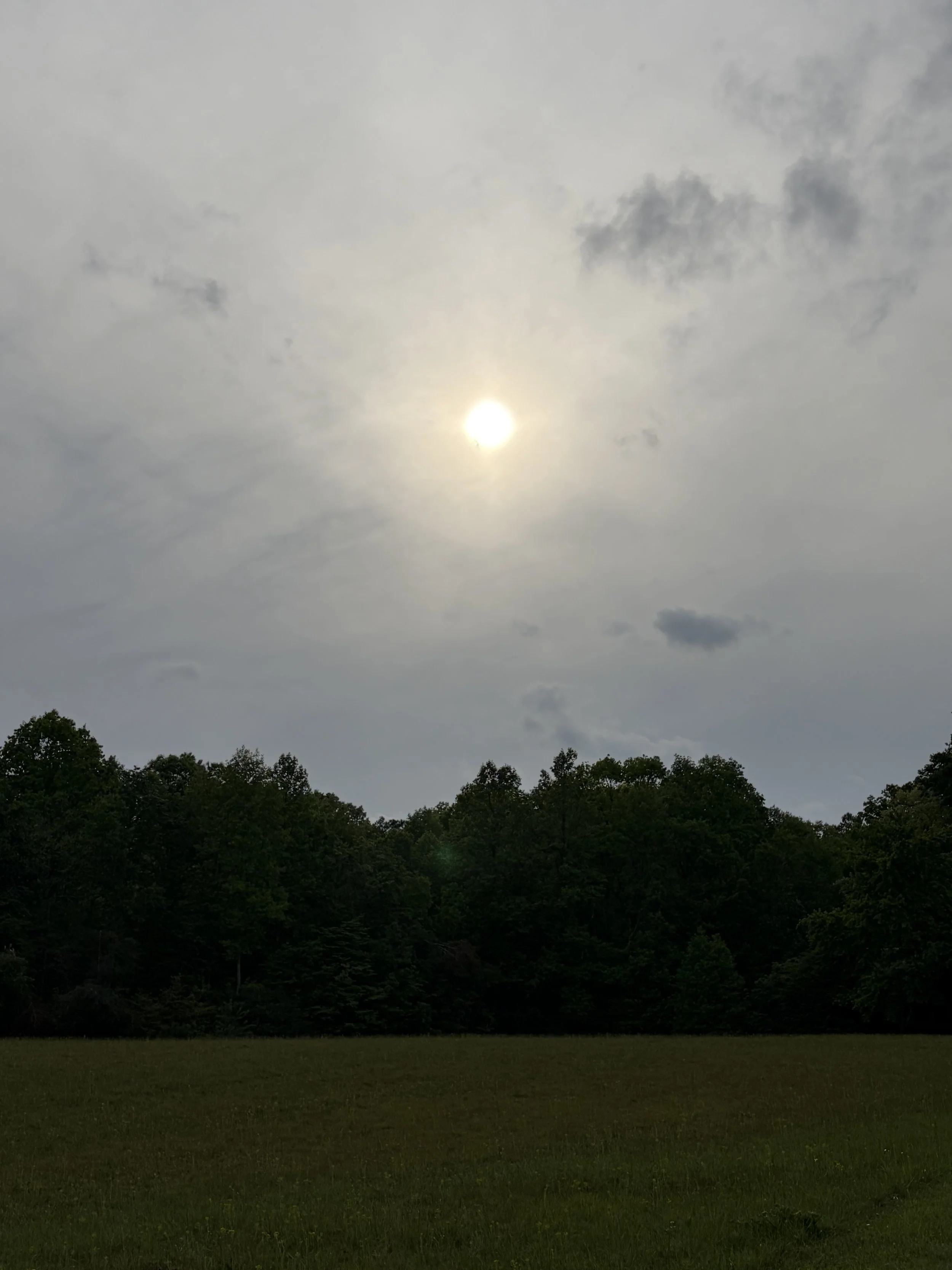 IMG_0602.jpeg