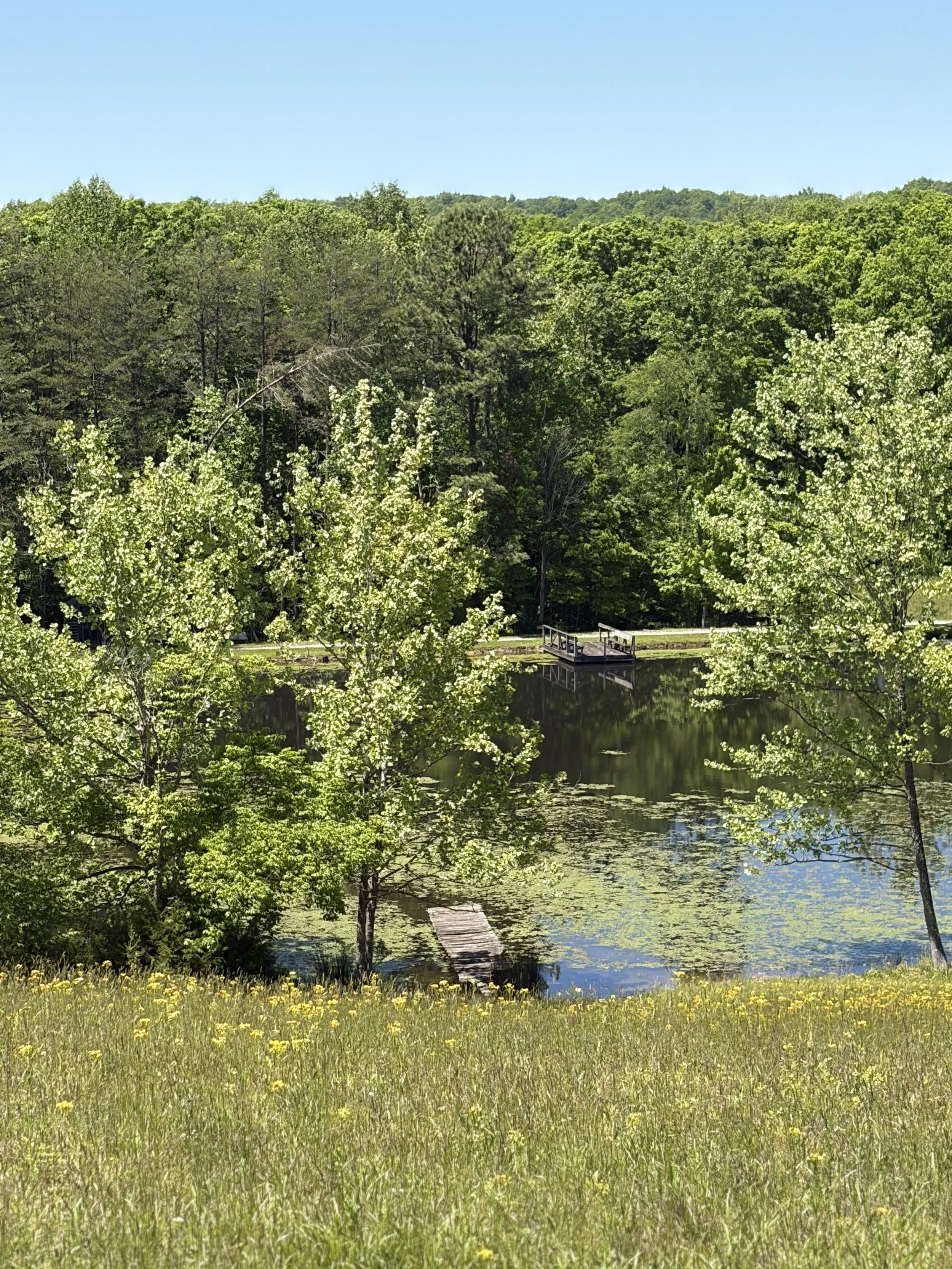 IMG_0712.jpeg