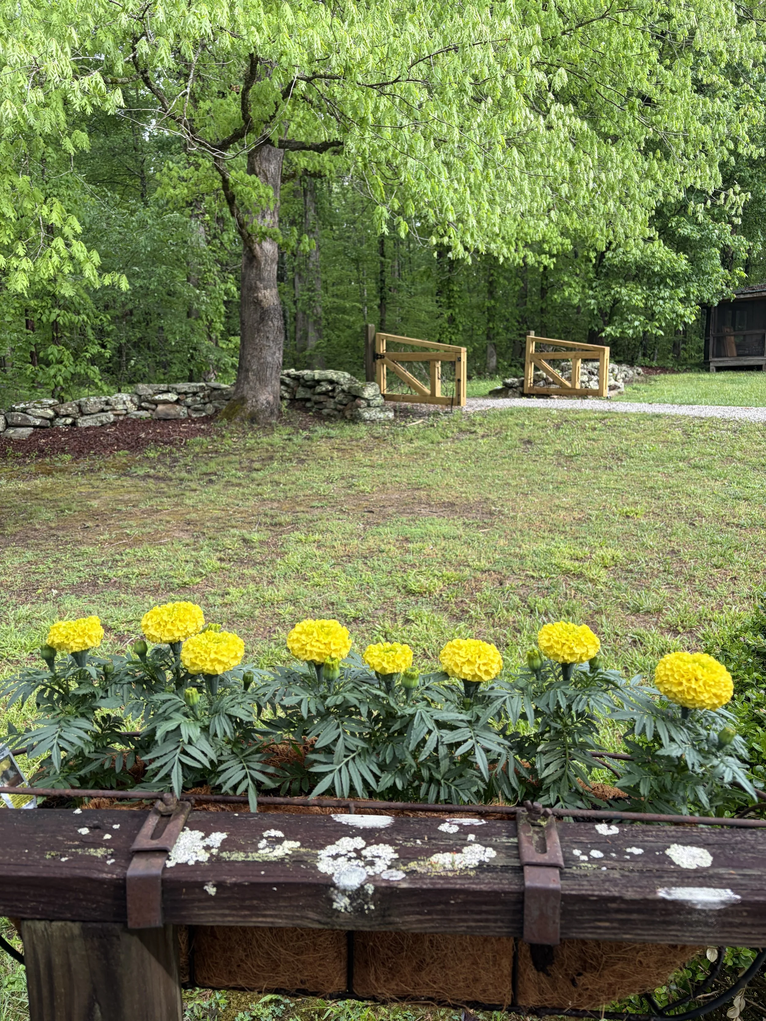 IMG_0596.jpeg