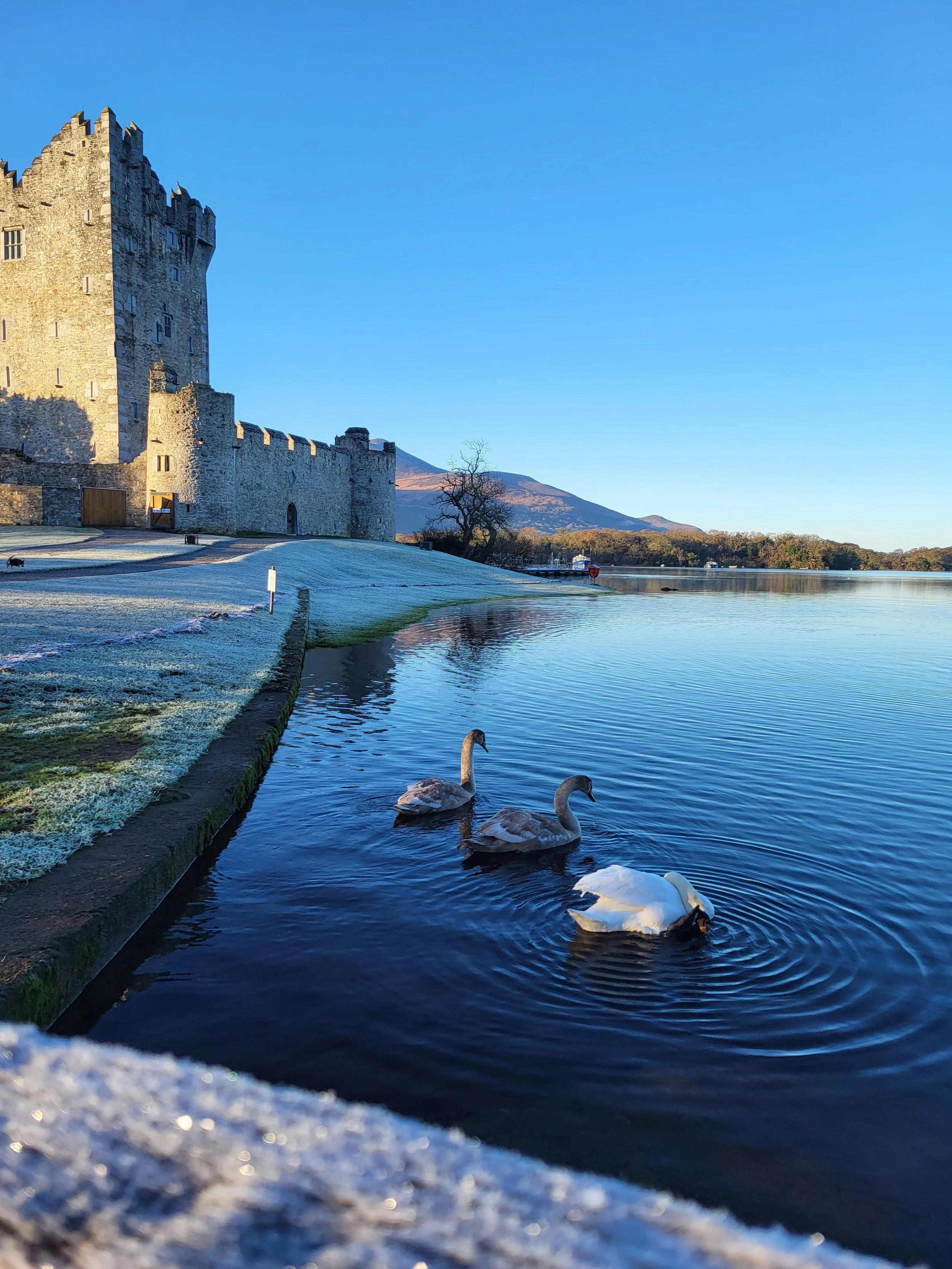 A historic castle with a stone wall on the edge of a lake, three swans swimming in the water, a mountain in the background, and a clear blue sky.