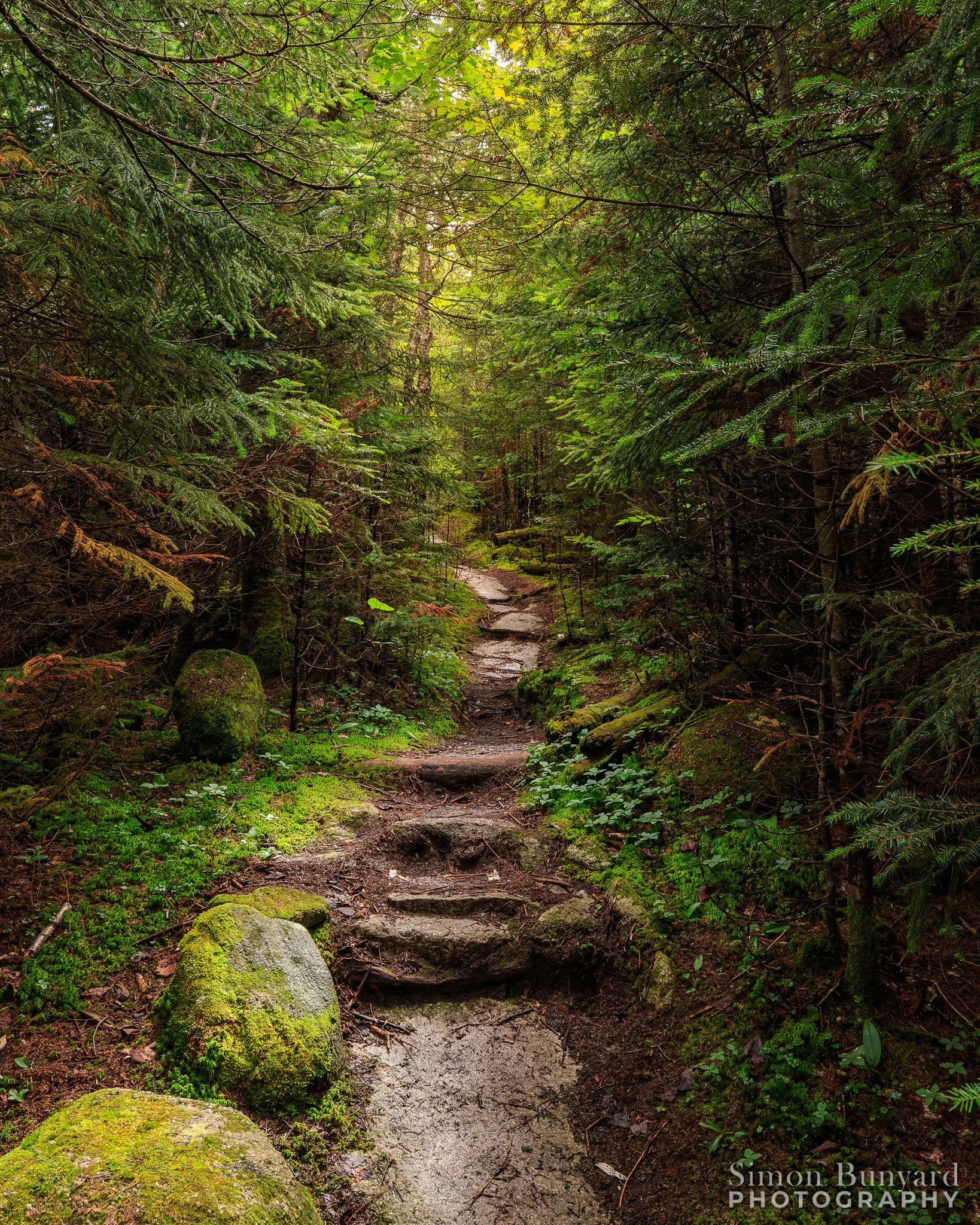 _MG_7902M-DxOdpF_Facebook_Brousseau Mtn.jpg