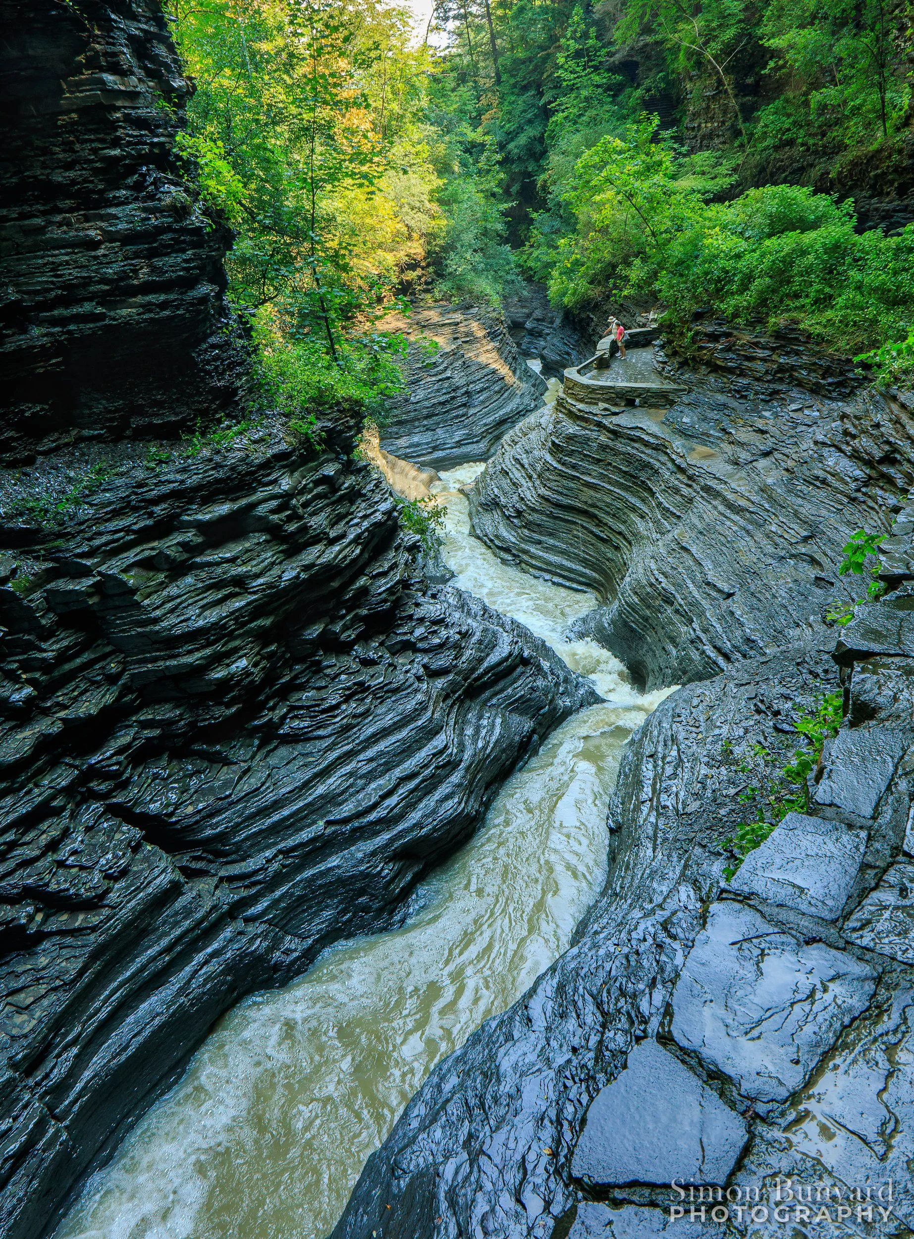 _MG_4881M-DxOF_webWM_Watkins Glenn Gorge.jpg