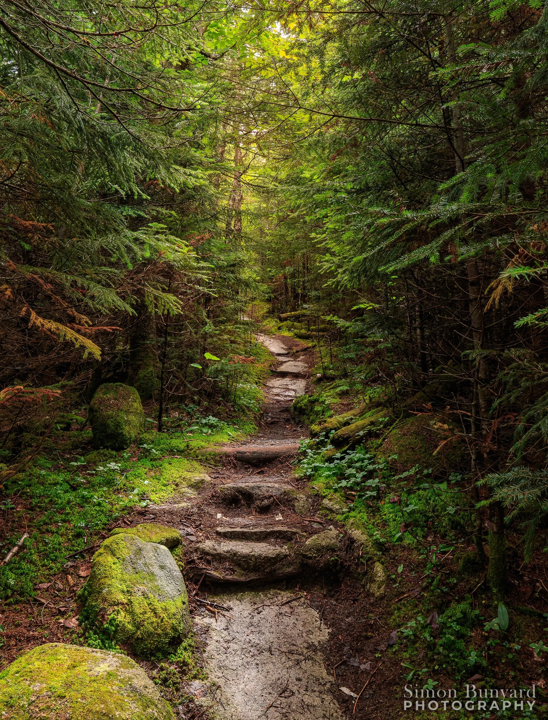 _MG_7902M-DxOdpF_webWM_Brousseau Mtn.jpg