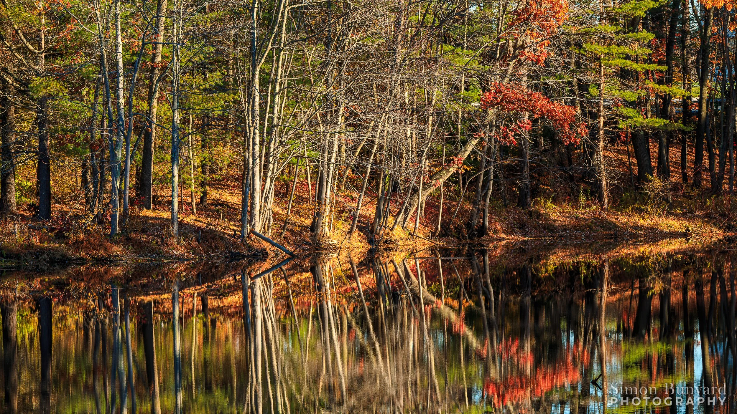 IMG_2673-DxOdpF_webWM_Reflections.jpg