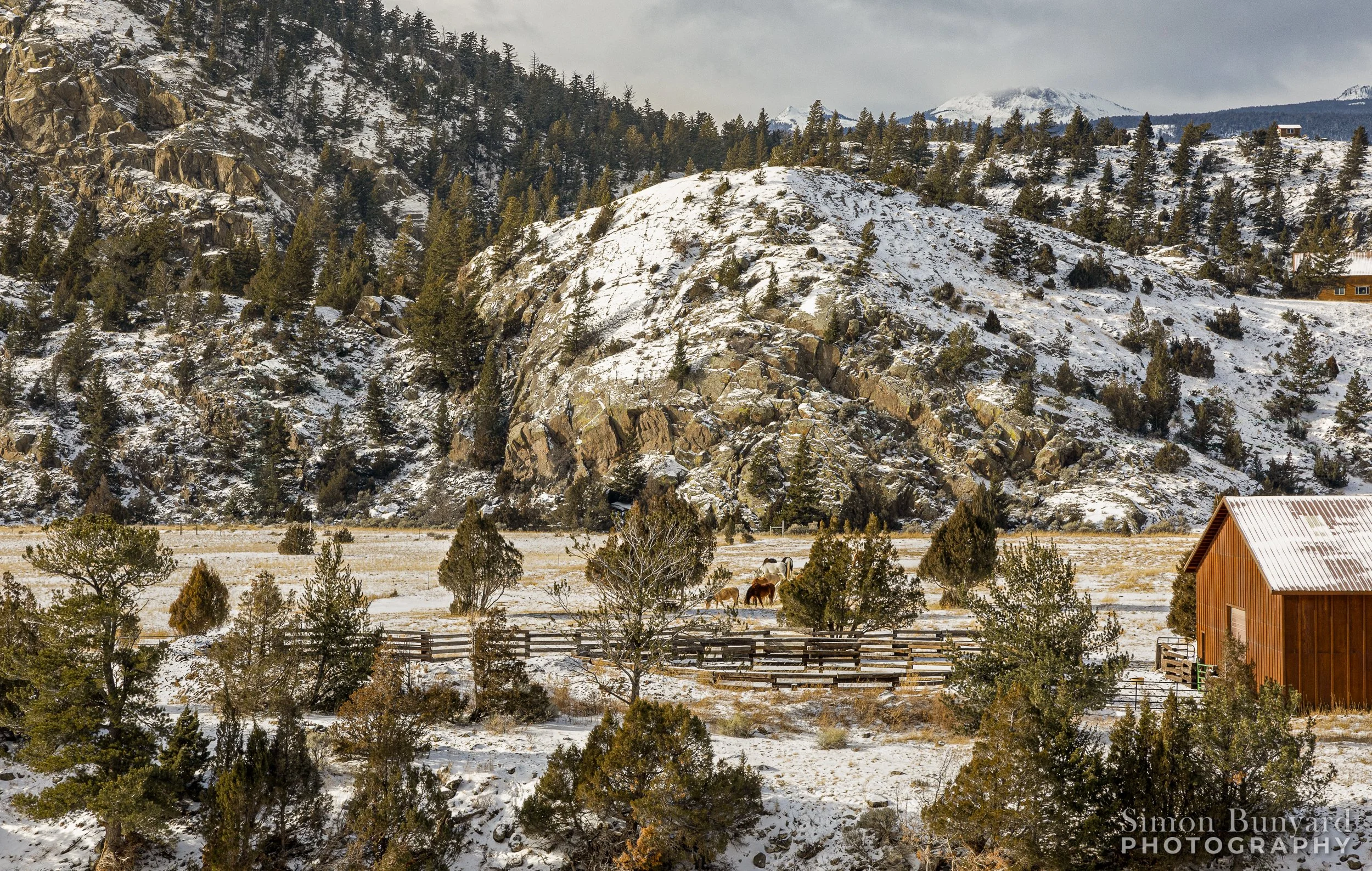 R31_1741MEF_webWM_Horses Farm.jpg