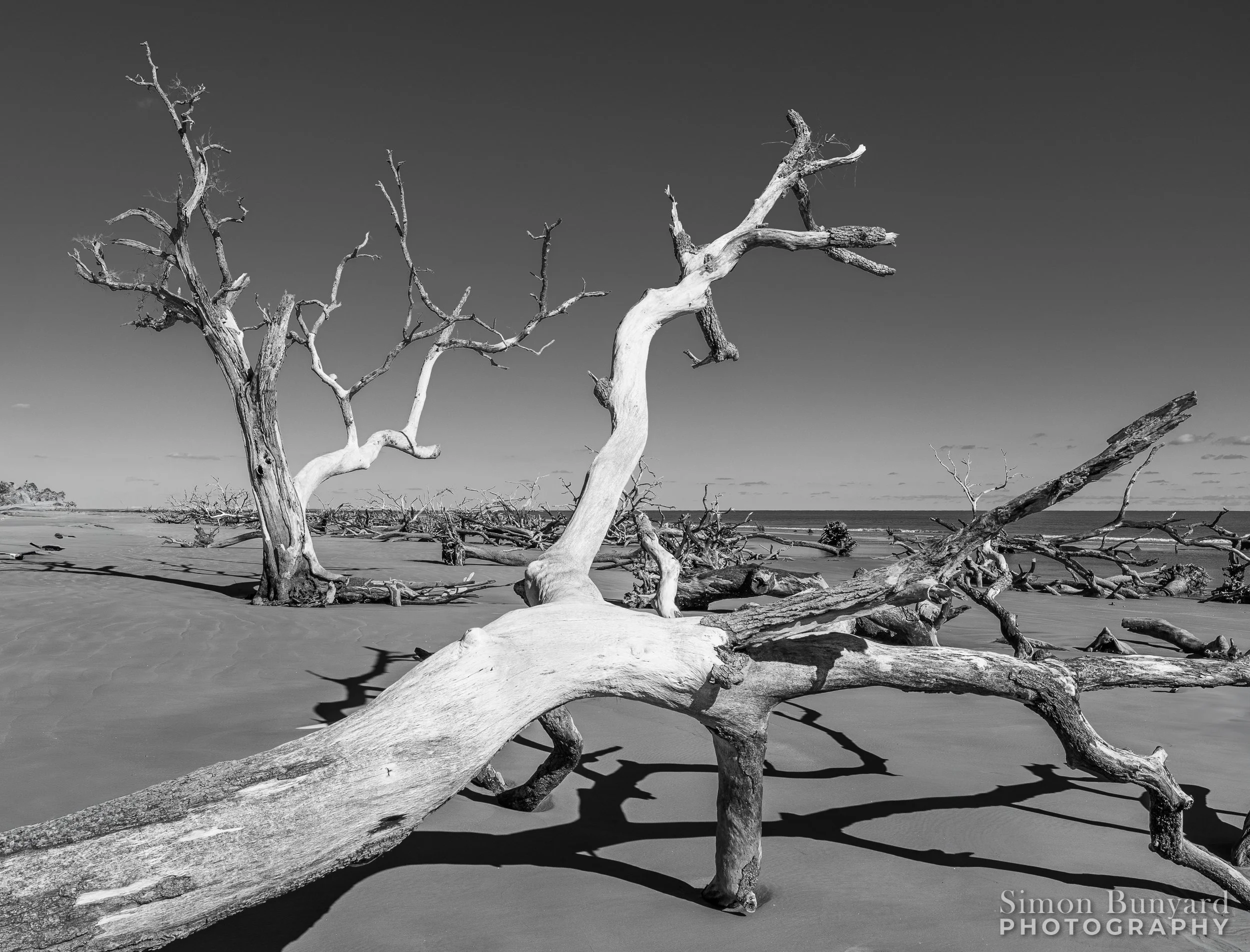 R31_1075MF_webWM_Boneyard Beach.jpg