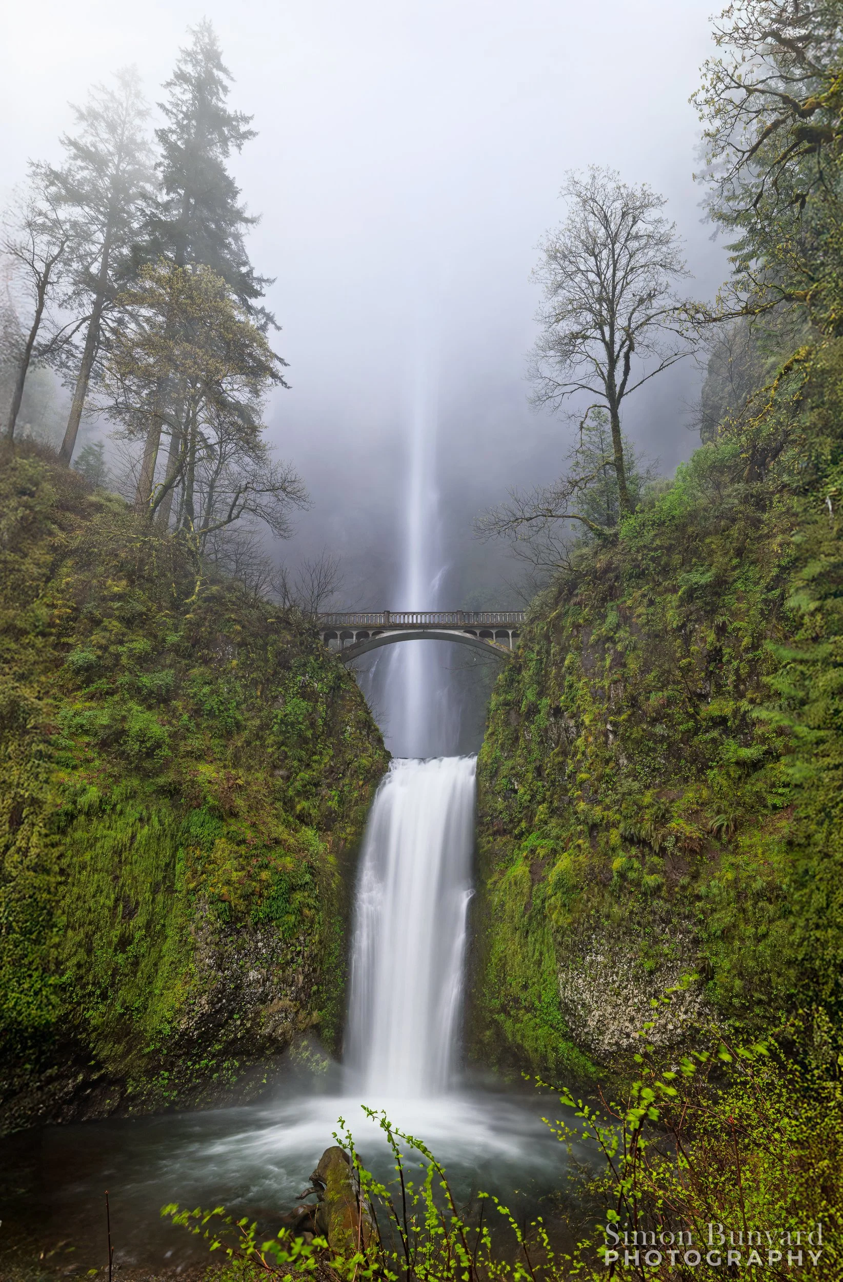 R51_8031-DxOdpMEF_Multnomah Falls_webWM.jpg