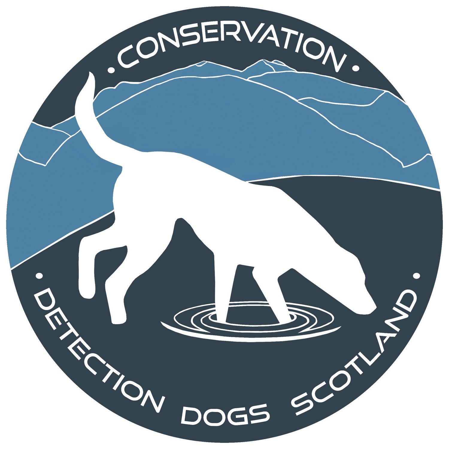 Conservation Detection Dogs Scotland