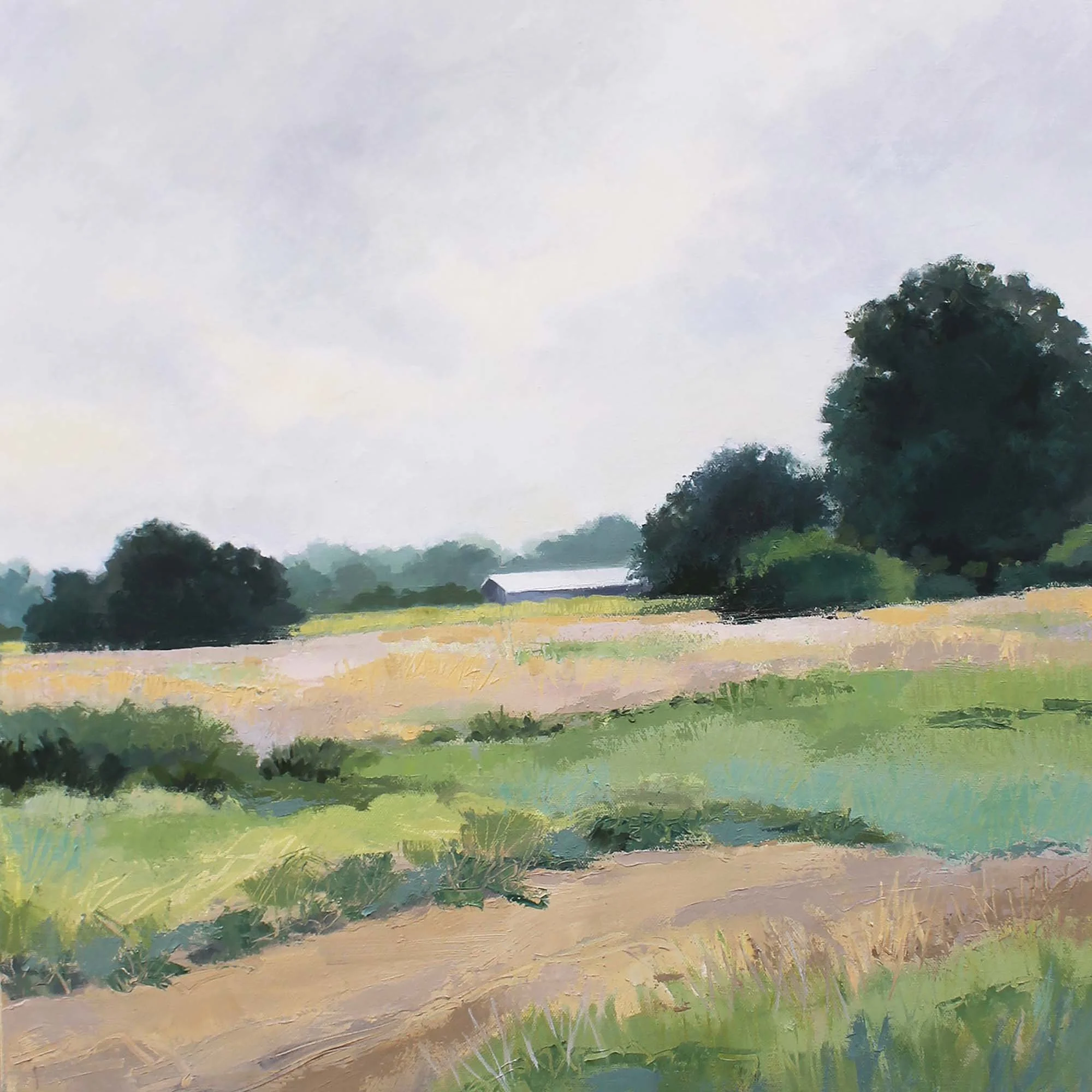 Hillside • Oil 24" x 24" 