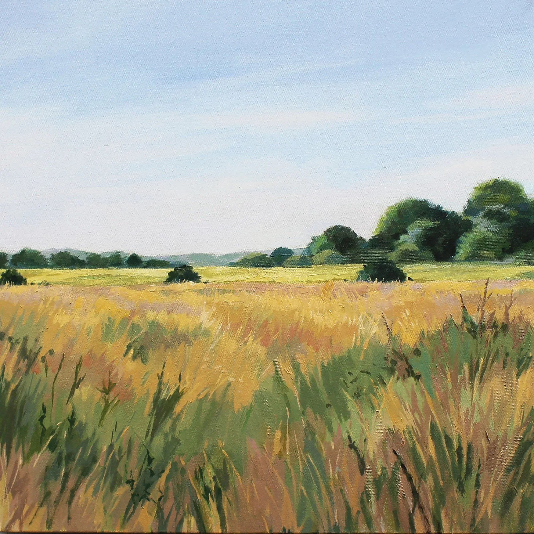 Sagaponack Field • Oil 24" x 24"