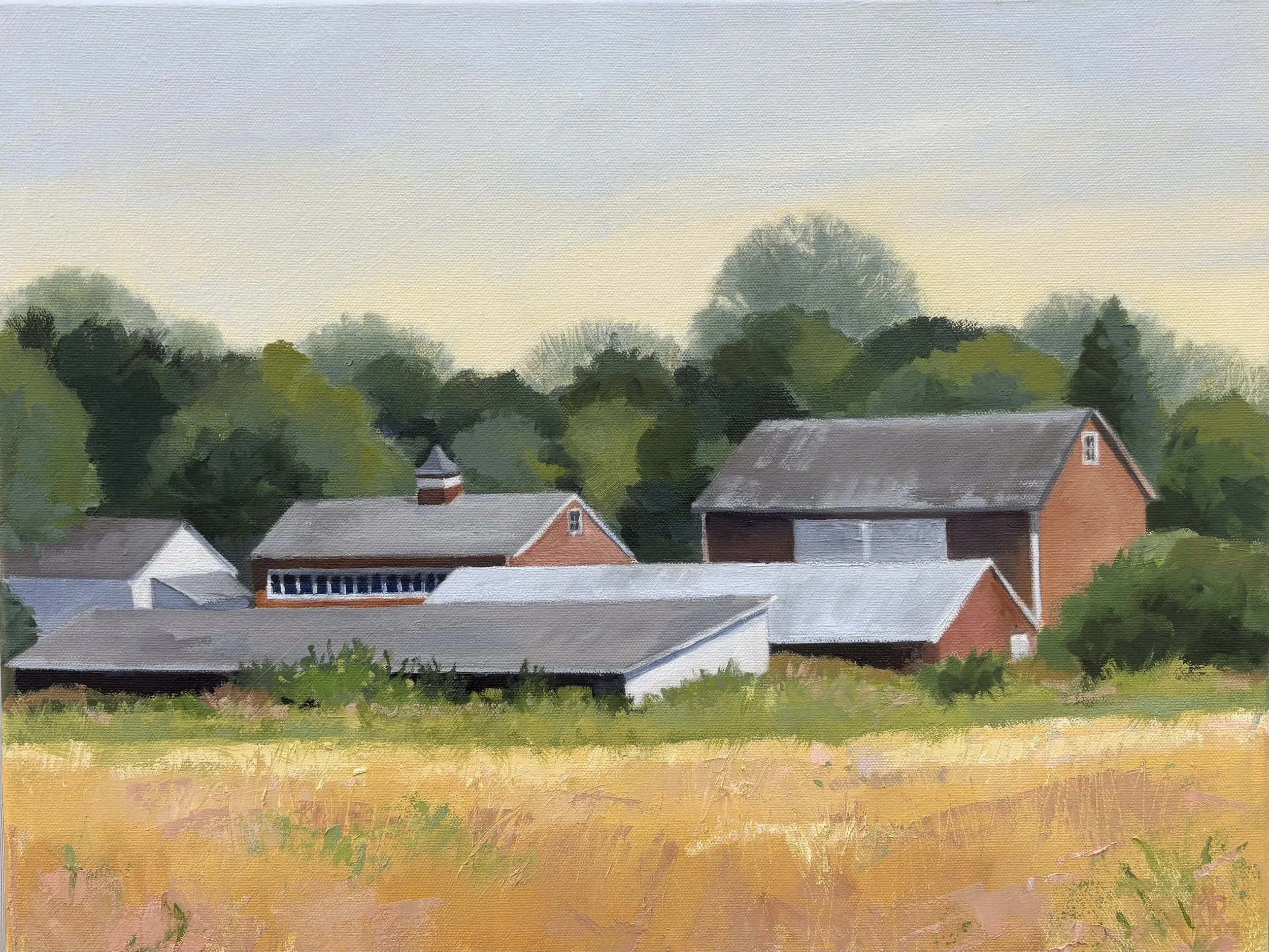 Summer Glow • Oil 14" x18"