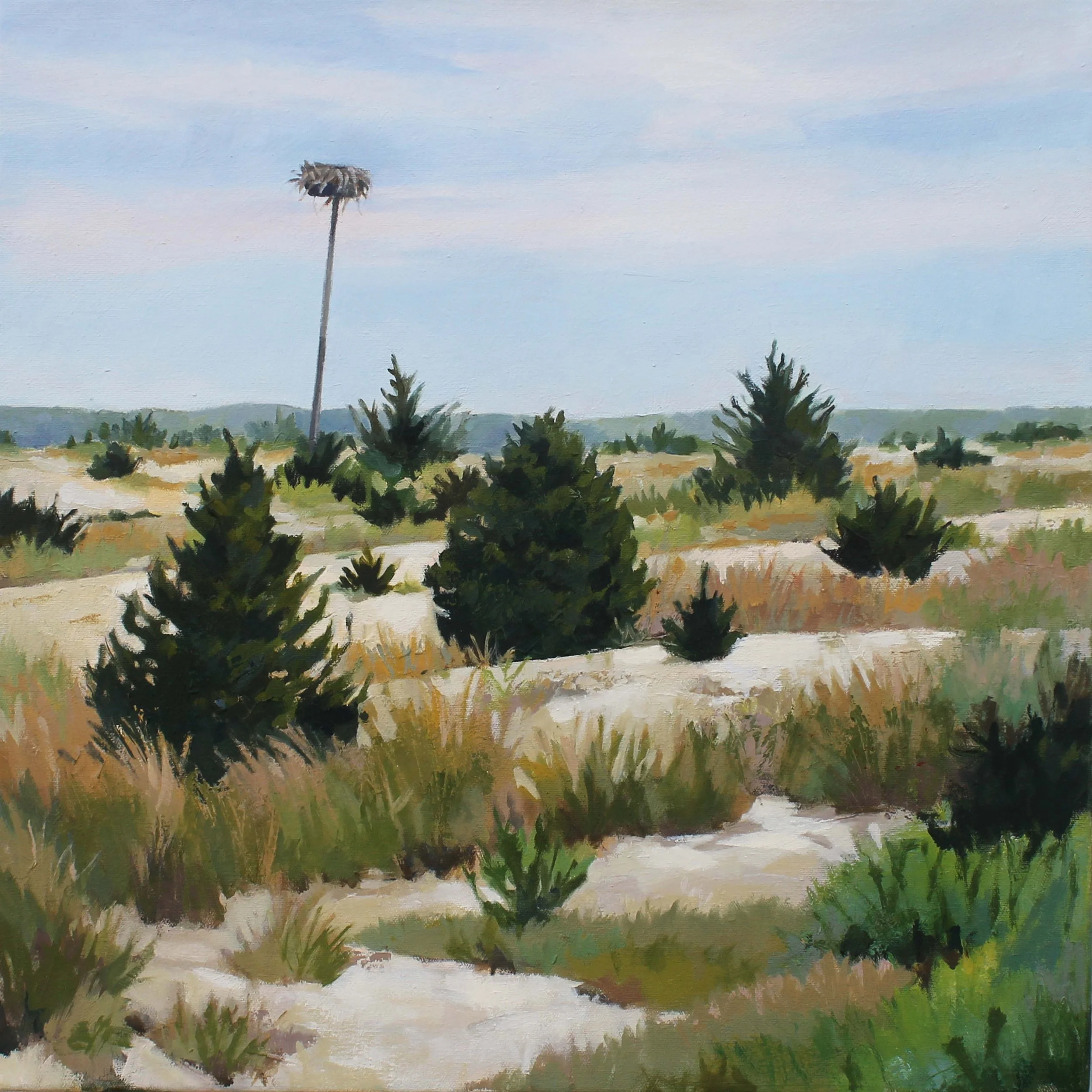 Stillness Oil 20" x 20"