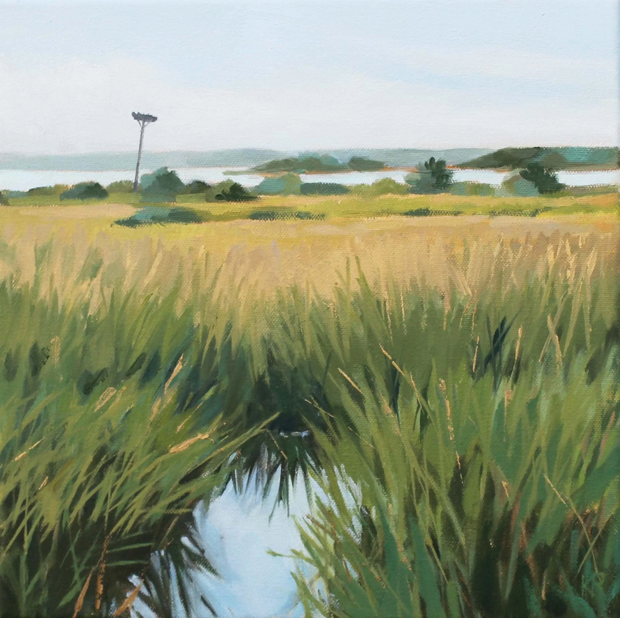 Munn Point Oil 12" x12" Sold