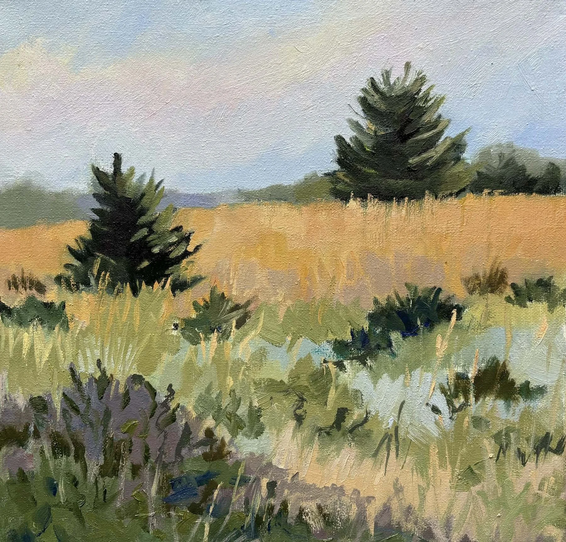 Field Study No.1 • Oil 12" x 12"