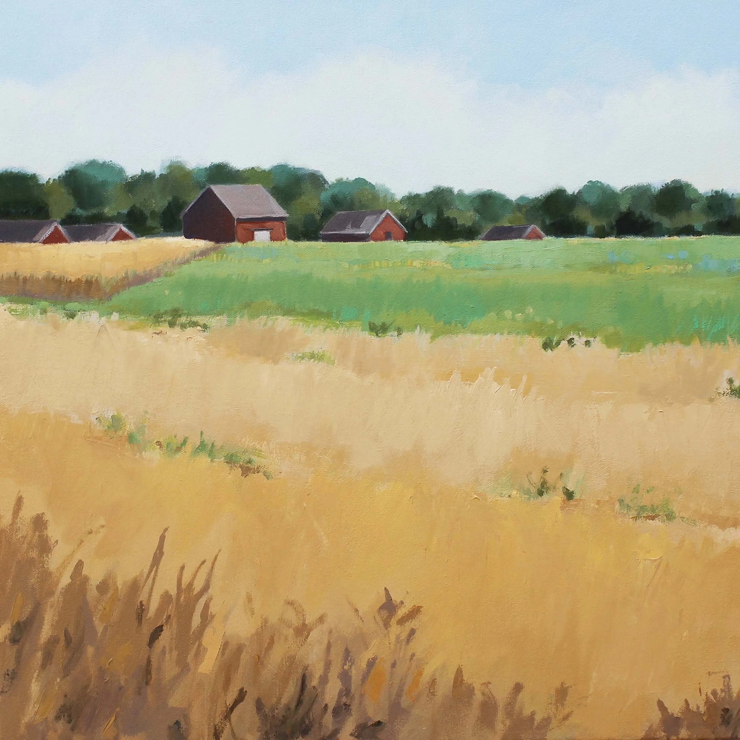 Through The Field • Oil  18" x 18" 