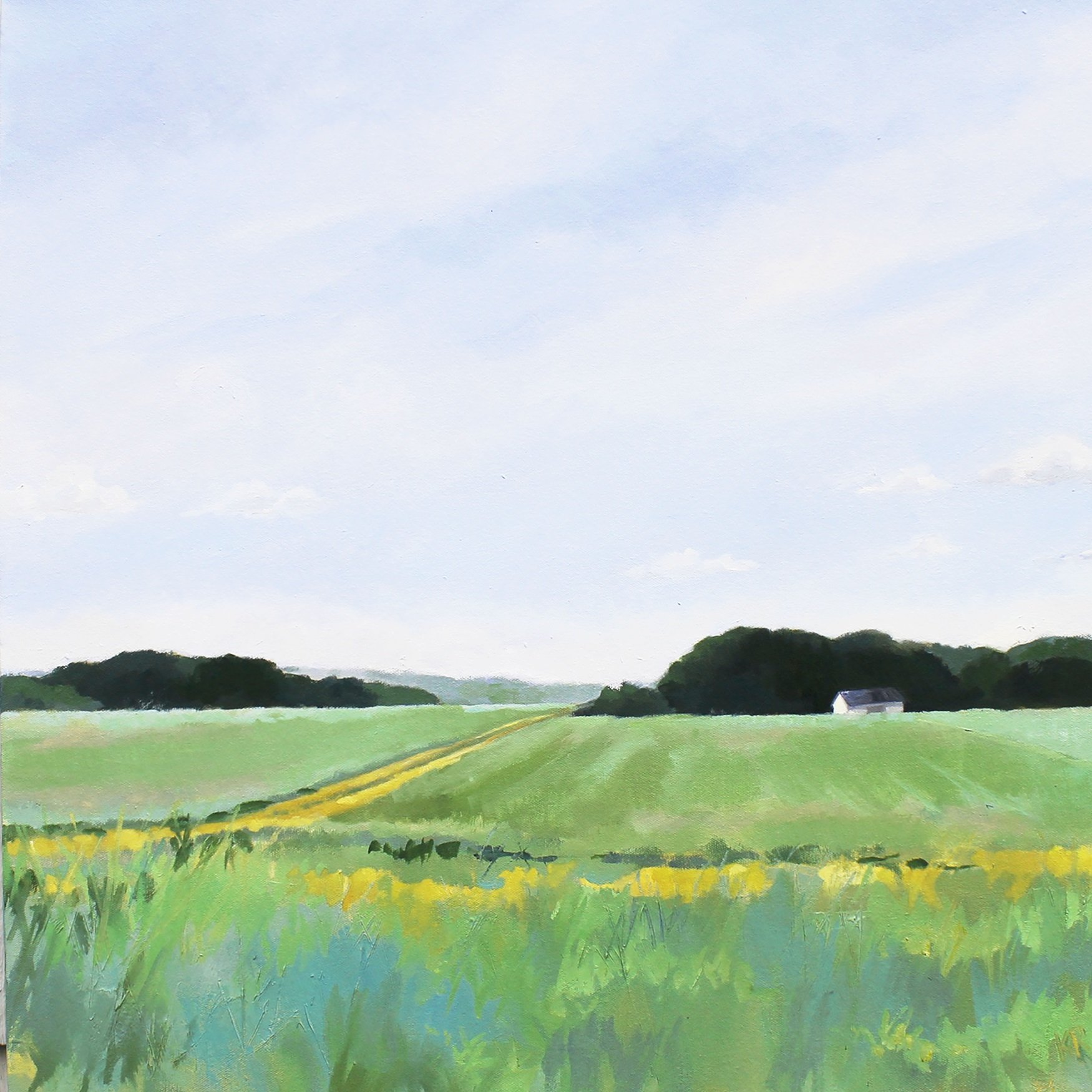 A watercolor painting of a rural landscape with green fields, a dirt path, a farmhouse in the distance, and a blue sky with scattered clouds.
