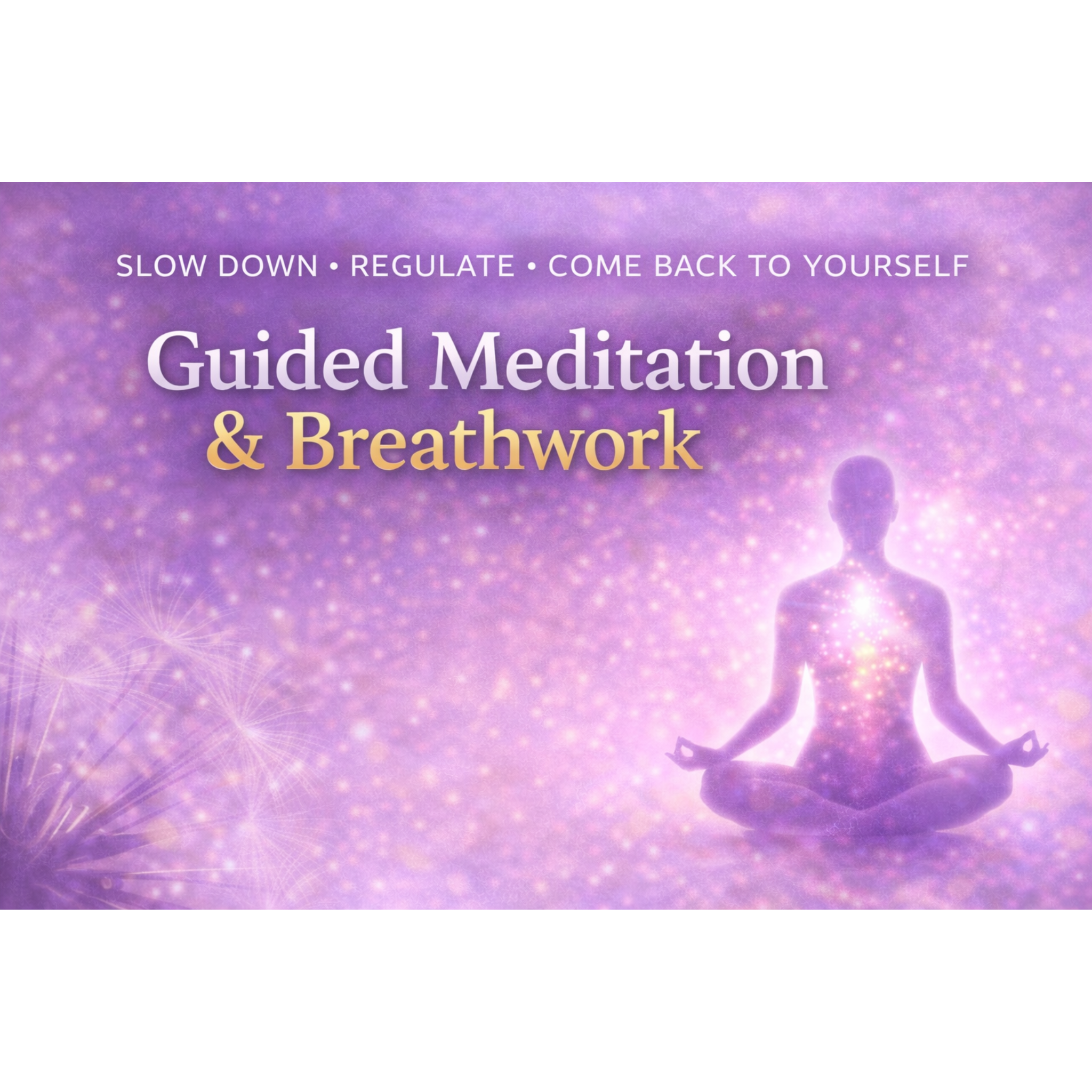 🌬 Guided Meditation & Breathwork