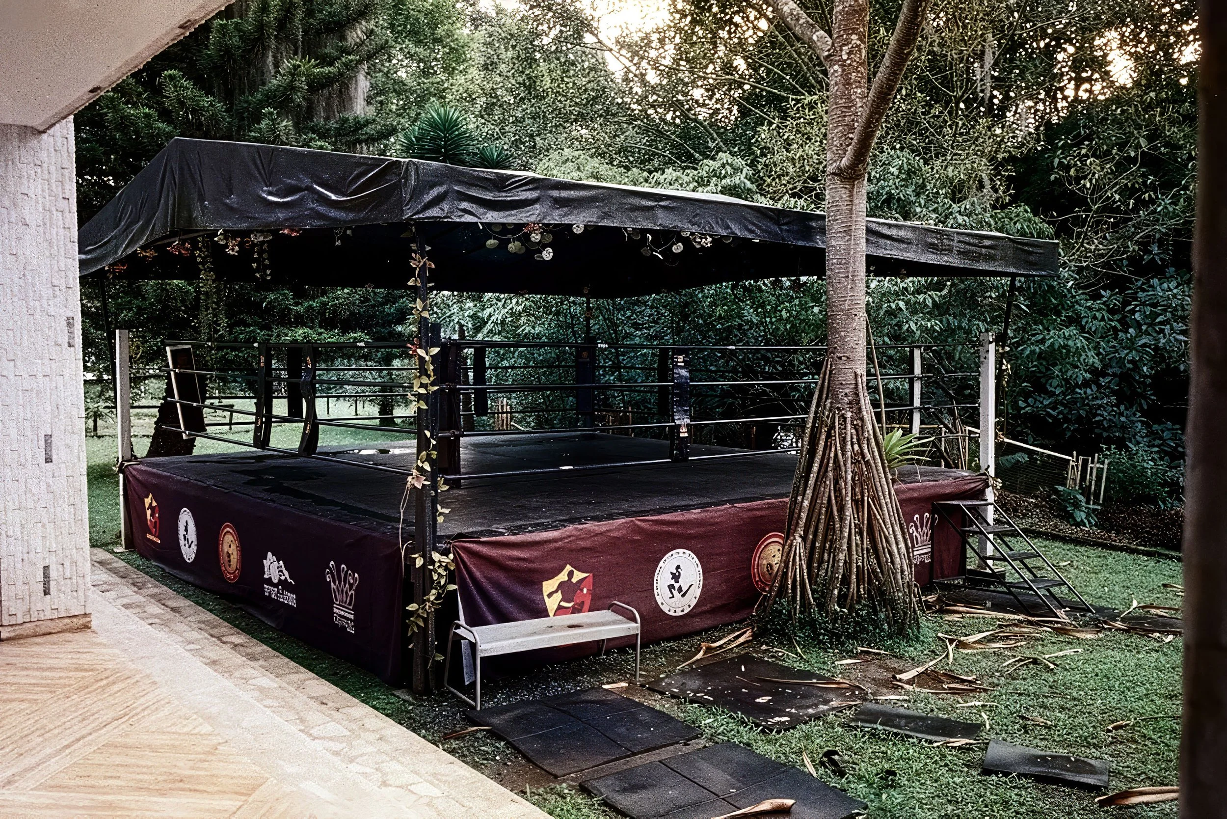 DOJILLO_SIYG_34 Firefly Upscaler 2x scale.jpg