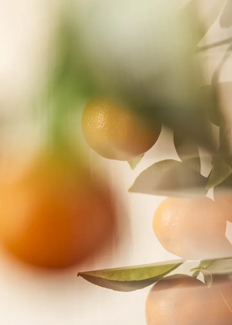 What does “antioxidant” really mean?