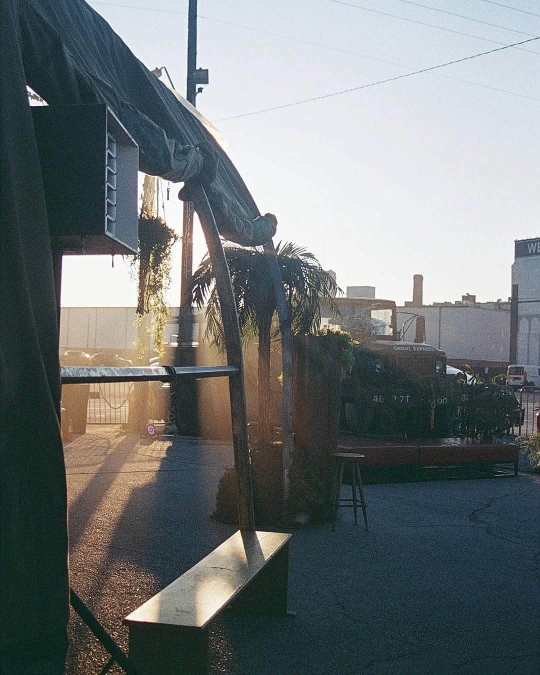An outdoor scene with a ladder in the foreground, palm trees, and vintage trucks parked in the background, with the sun low in the sky creating long shadows.