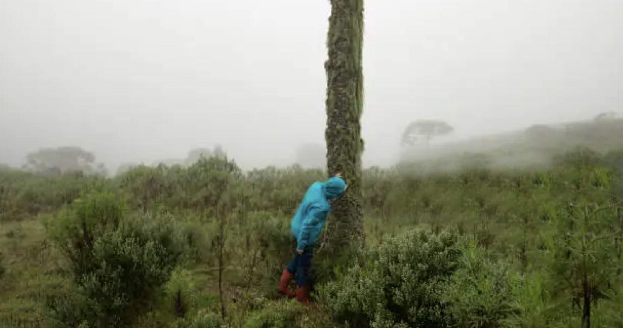 Screenshot 2025-10-27 at 9.43.38 PM.png