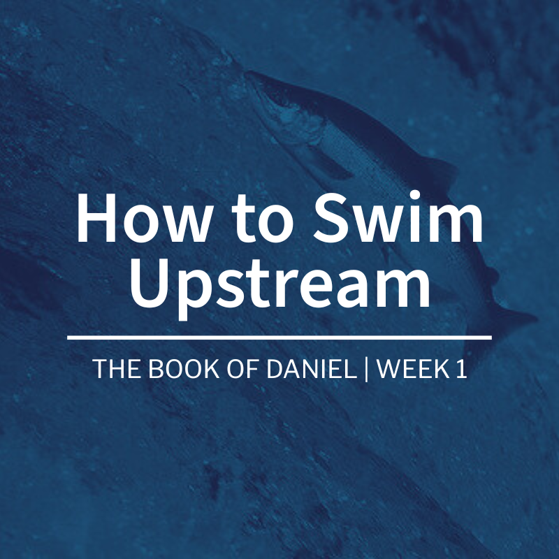 How to Swim Upstream | The Book of Daniel | Week 1