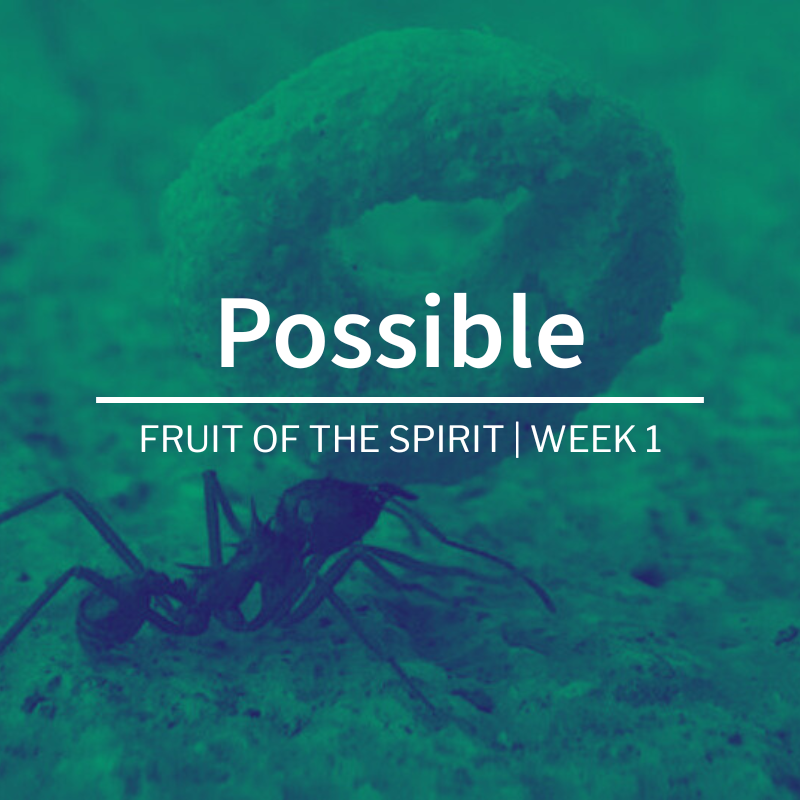 Possible | Fruit of the Spirit | Week 1