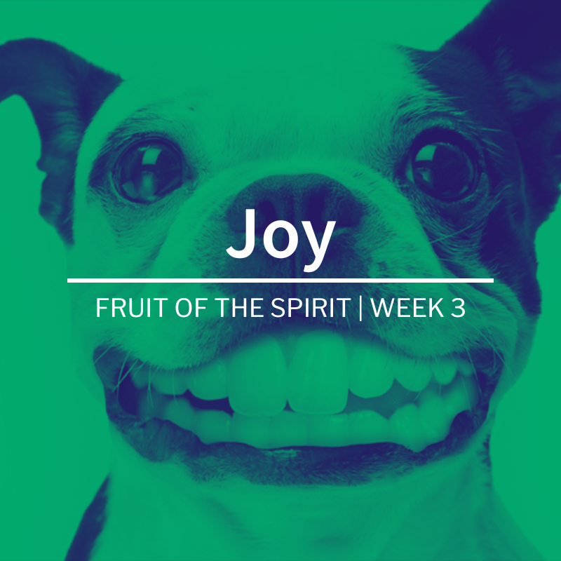 Joy | Fruit of the Spirit | Week 3