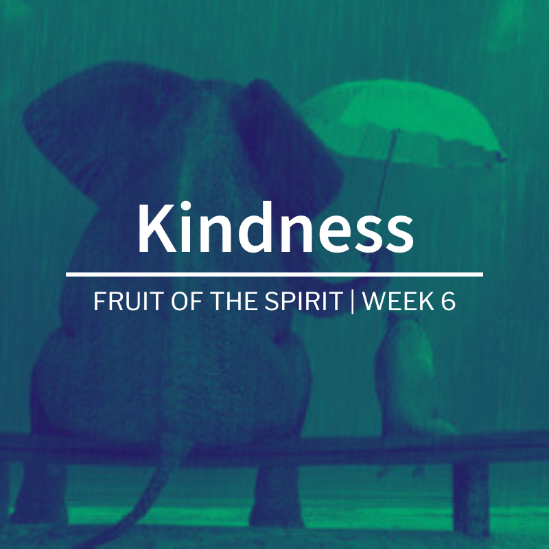 Kindness | Fruit of the Spirit | Week 6
