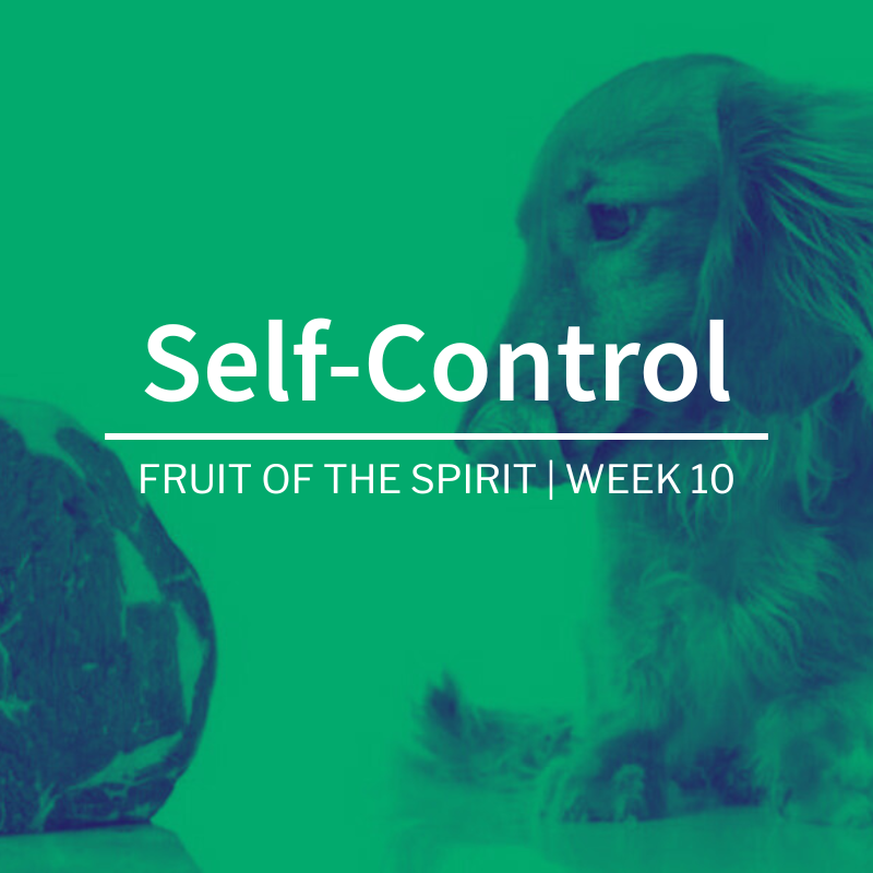 Self-Control | Fruit of the Spirit | Week 10