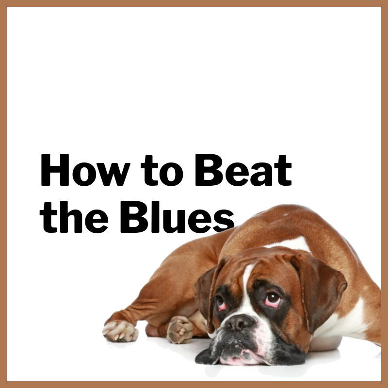 How to Beat the Blues