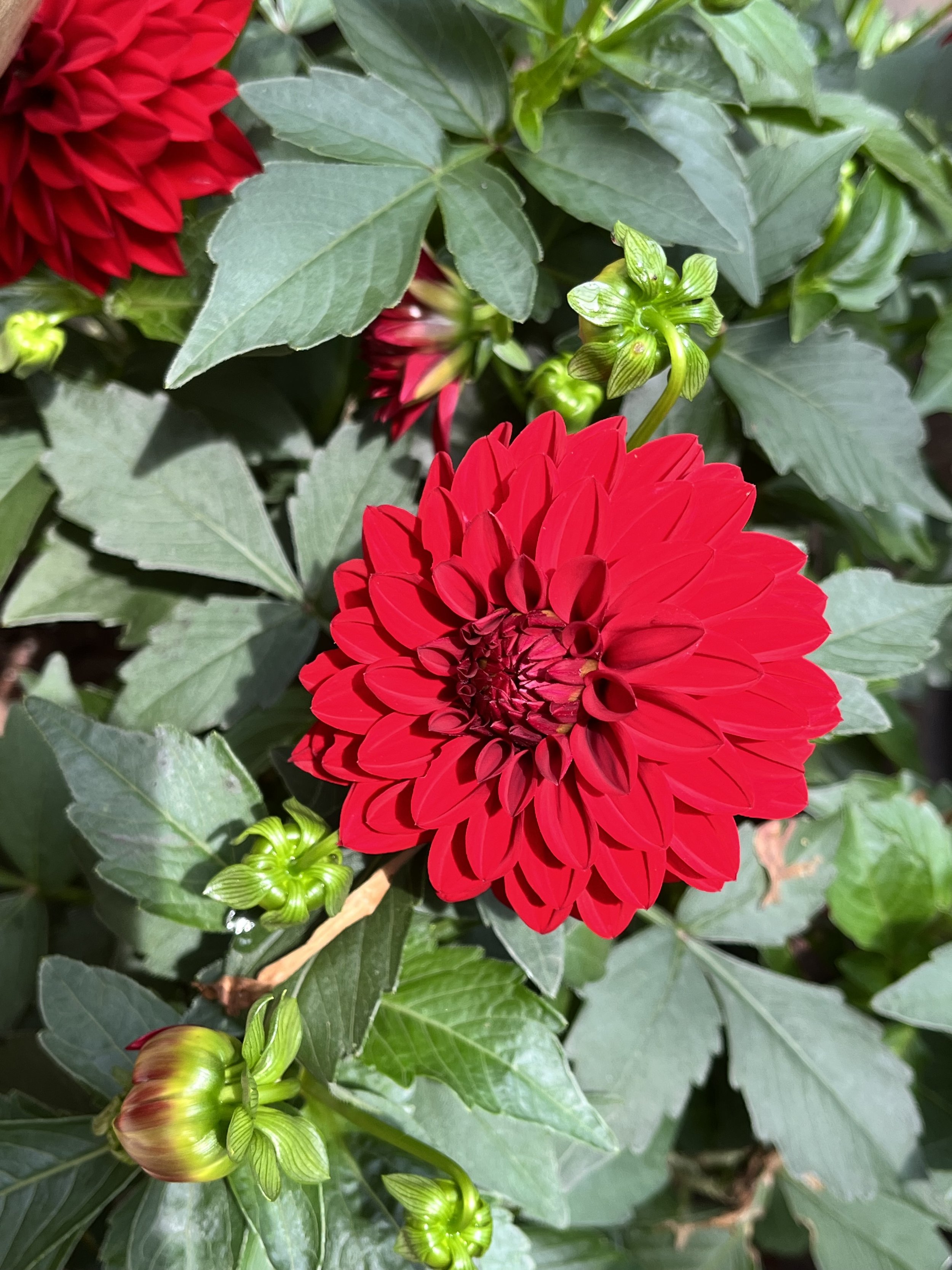 Communication for Connection