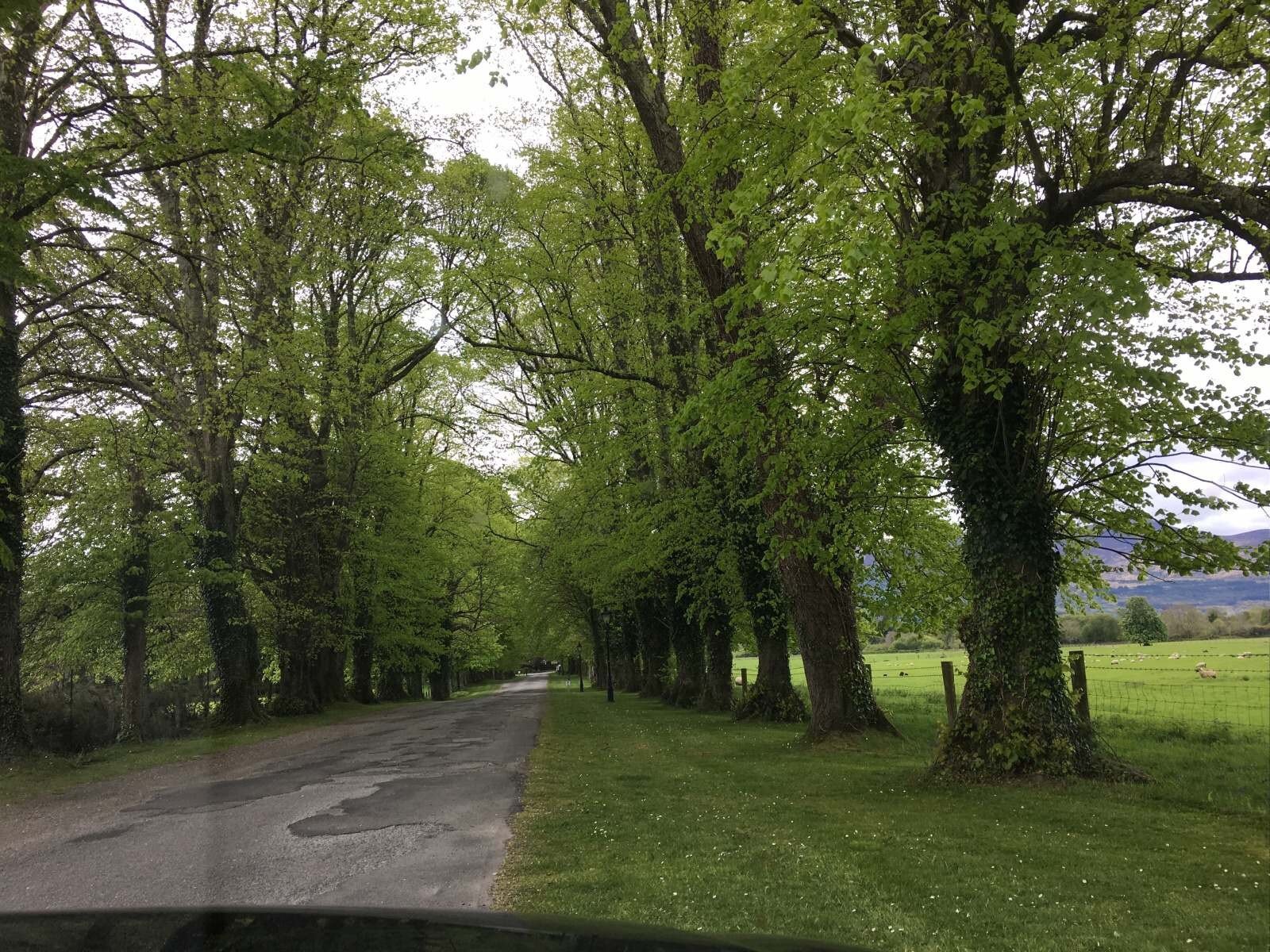 Individual Consulting Package