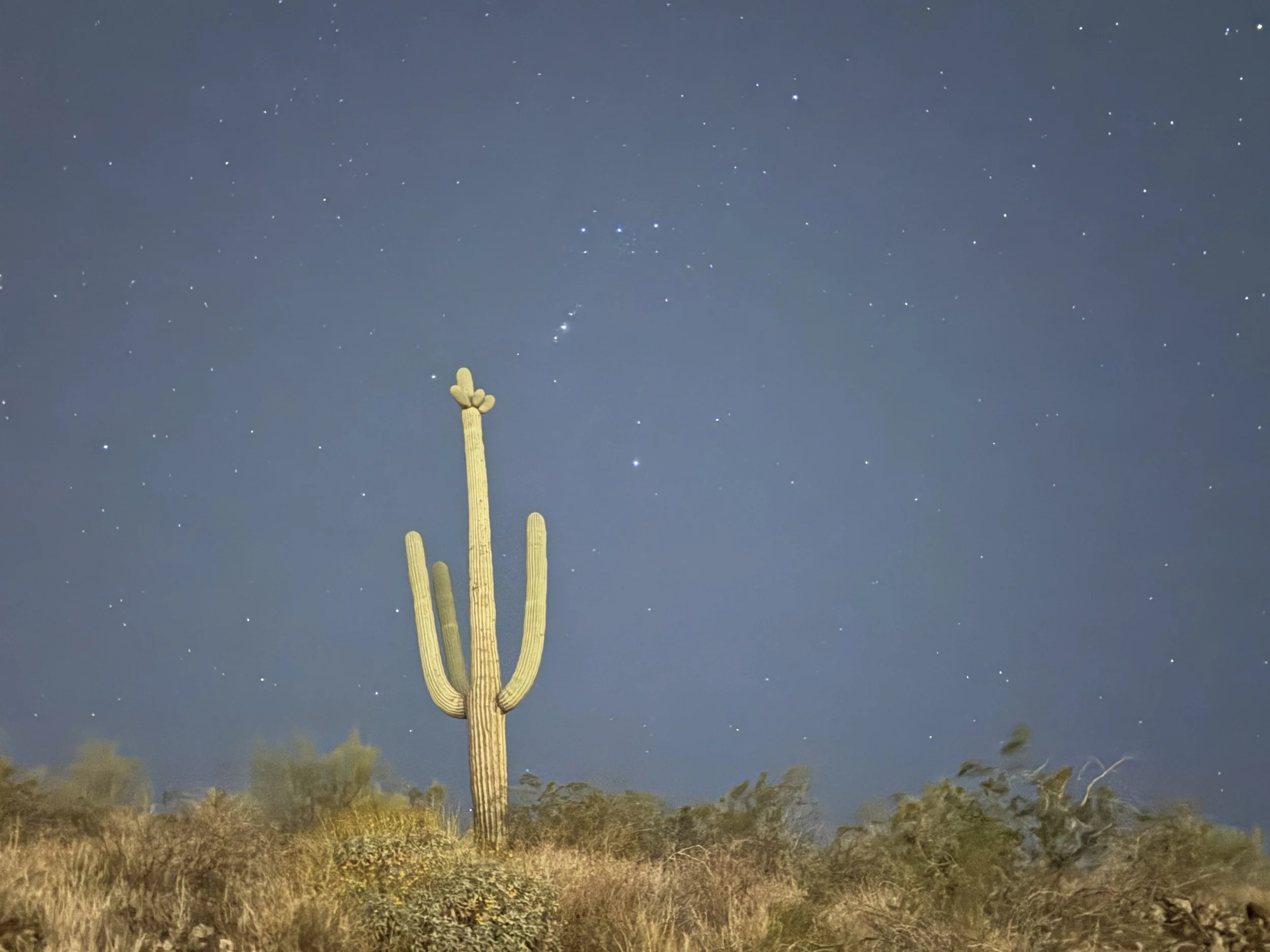 Gifting End of Life Doula Services