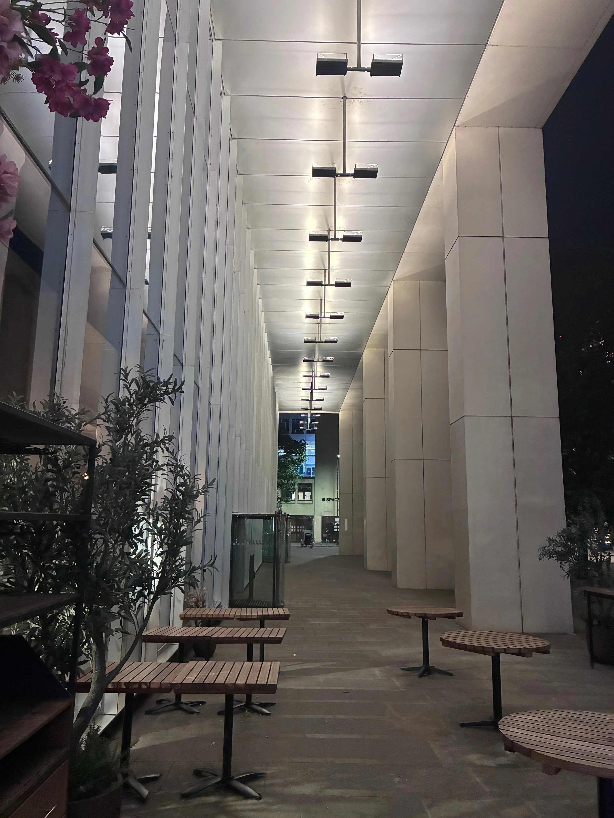 IMG_7605.jpeg
