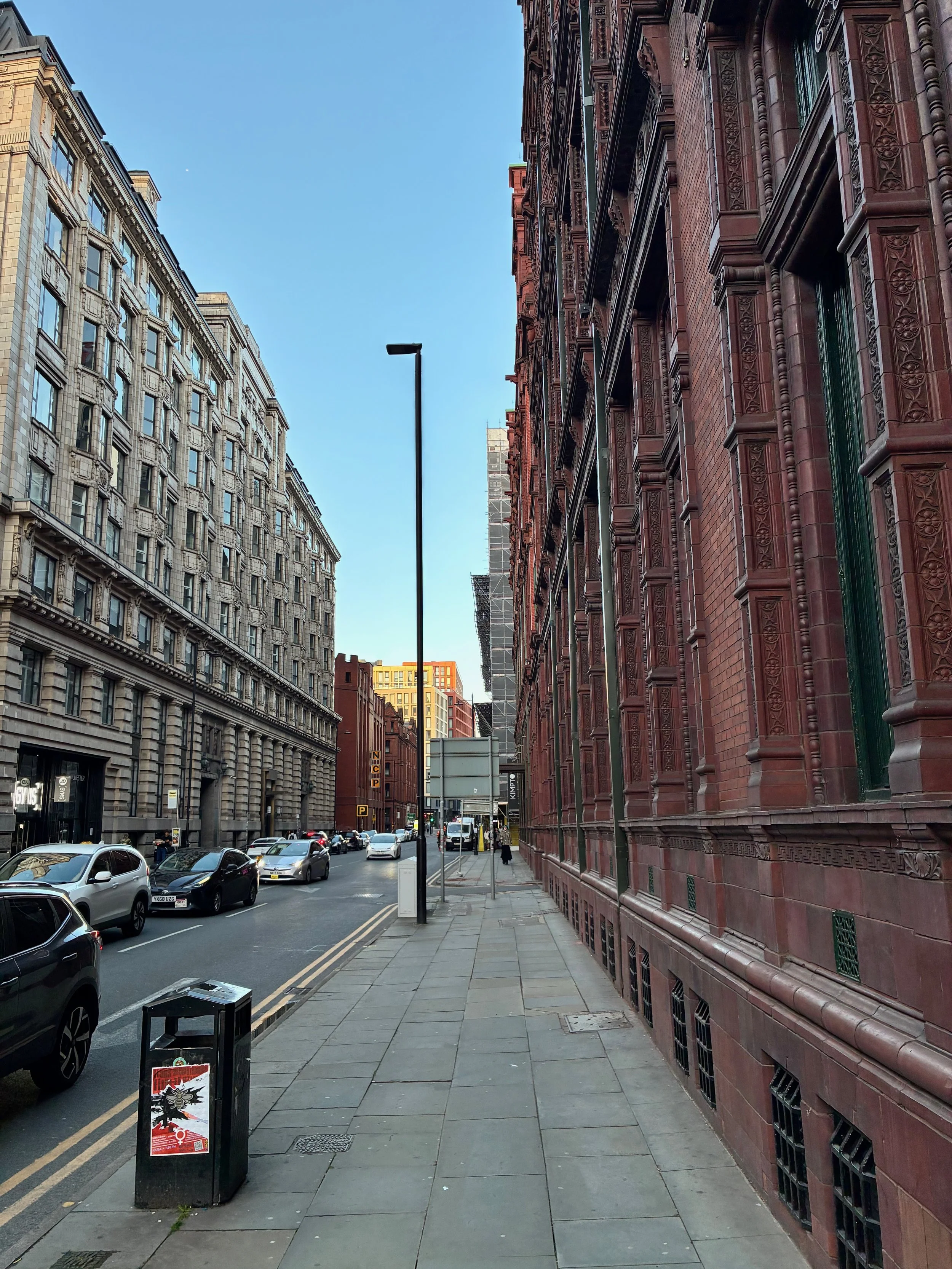 IMG_7919.jpeg