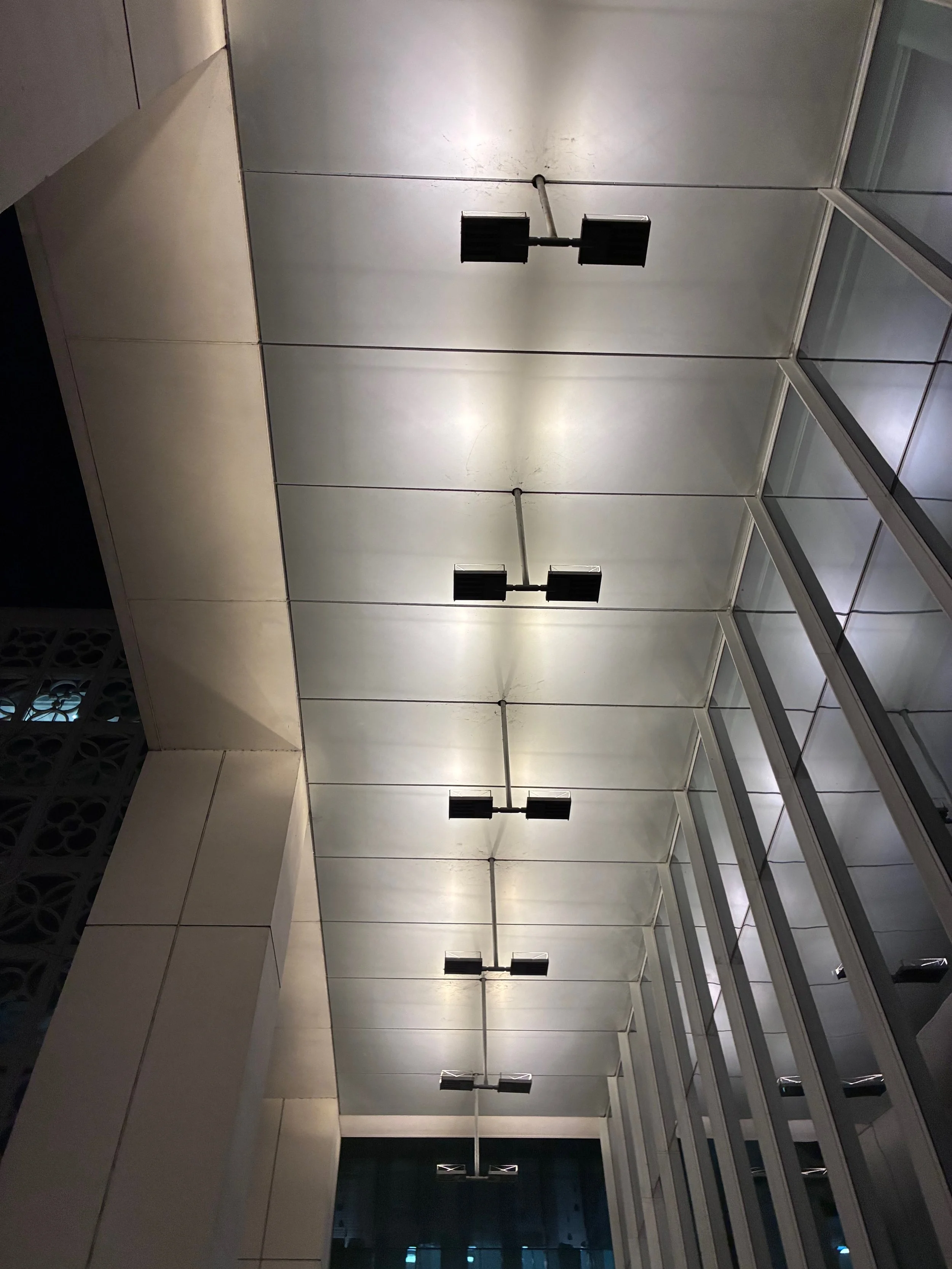 IMG_7353.jpeg