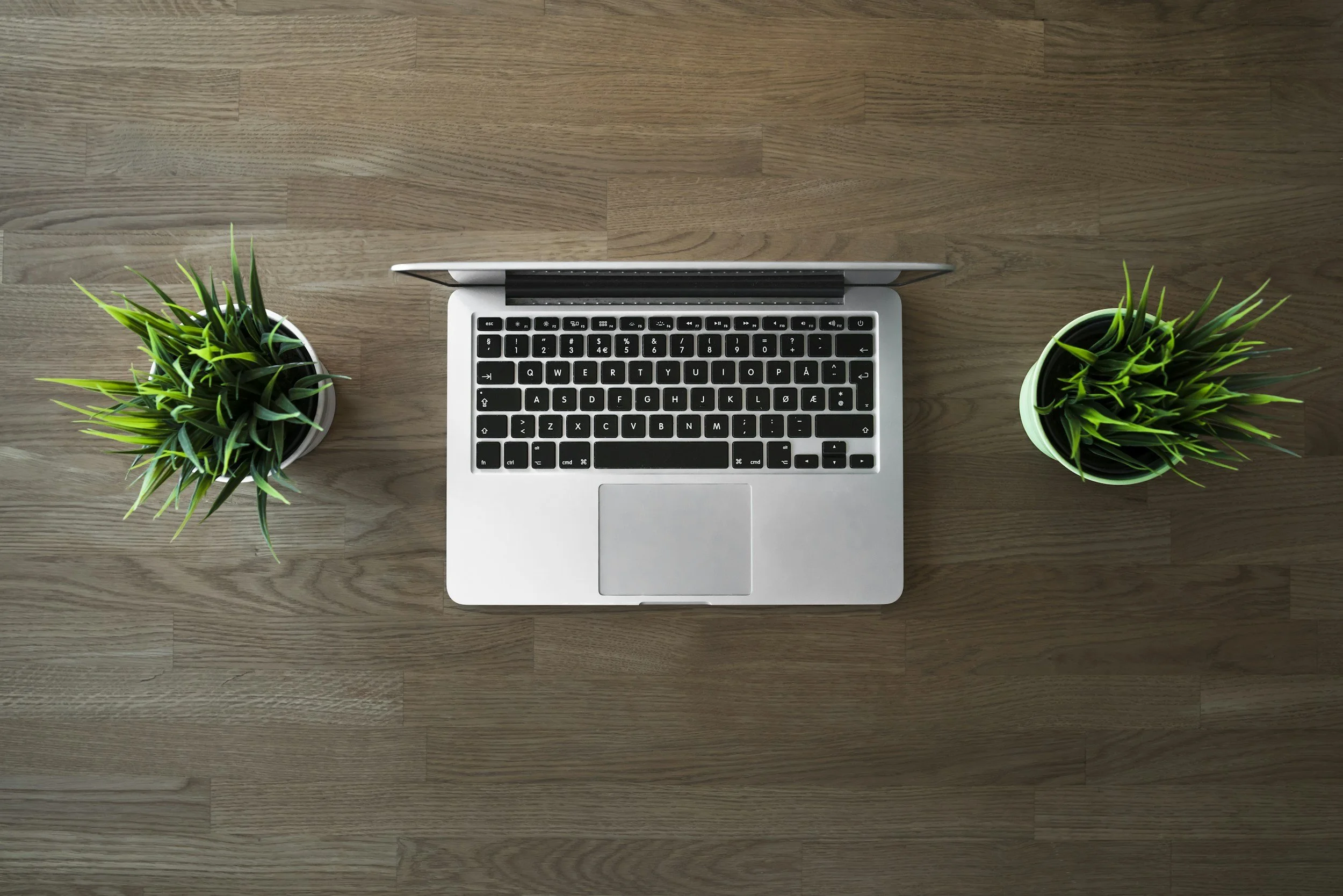 Top view of a silver laptop on a wooden desk, flanked by two potted green plants.